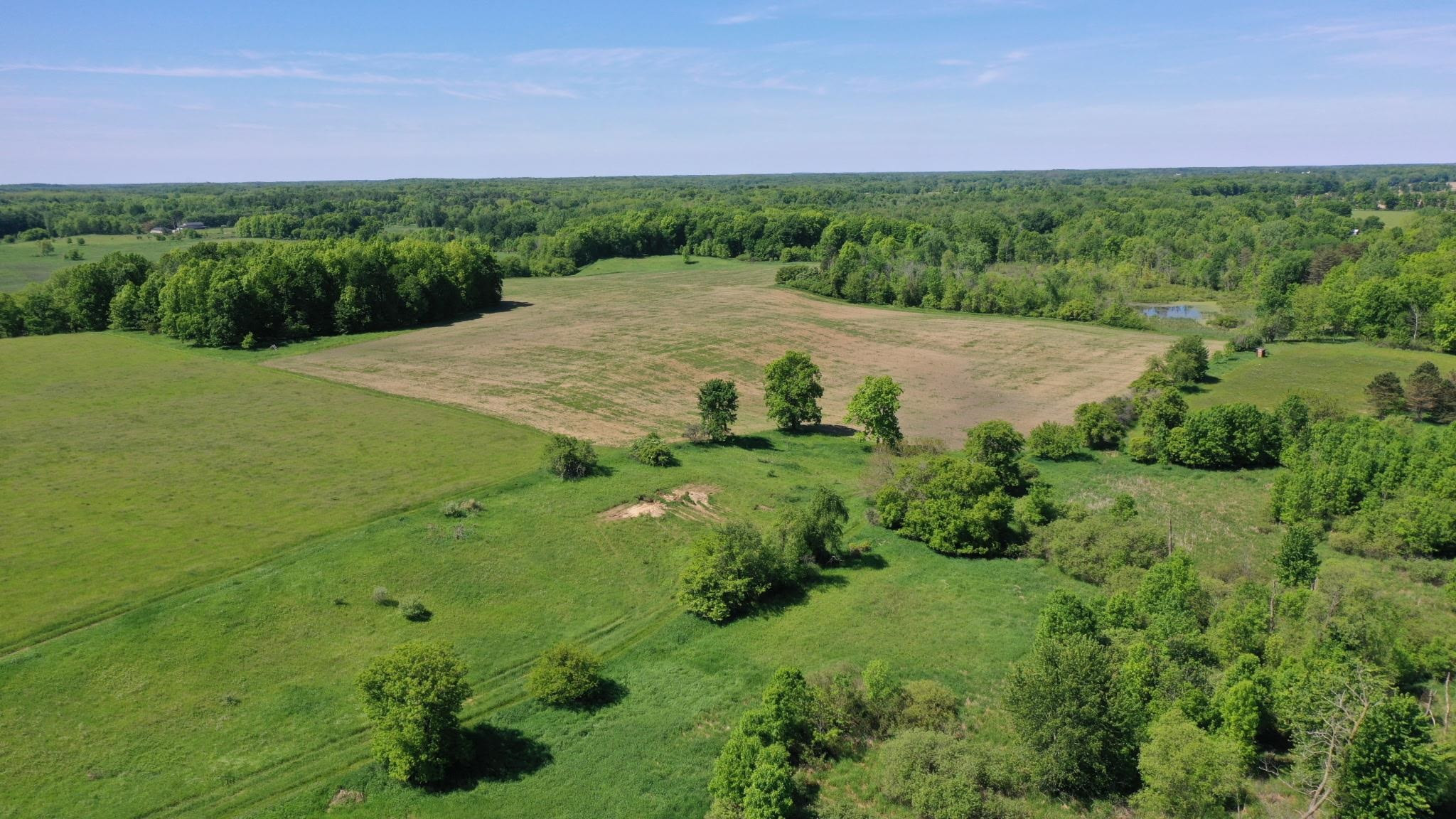 8680 Parks Road, Ovid, MI 48866 — Photo 36