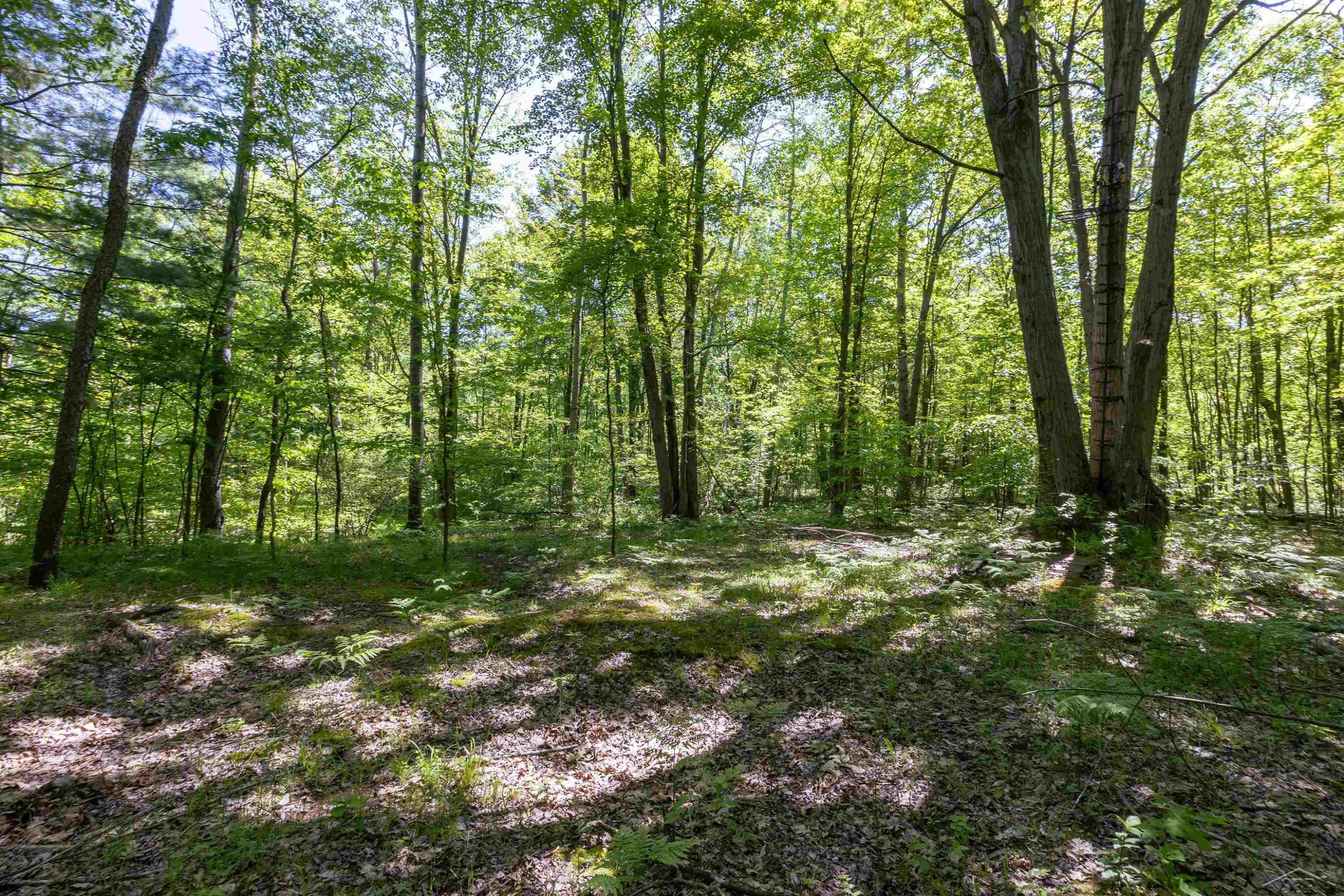 1274 W Gordonville Road, Midland, MI 48640 — Photo 27