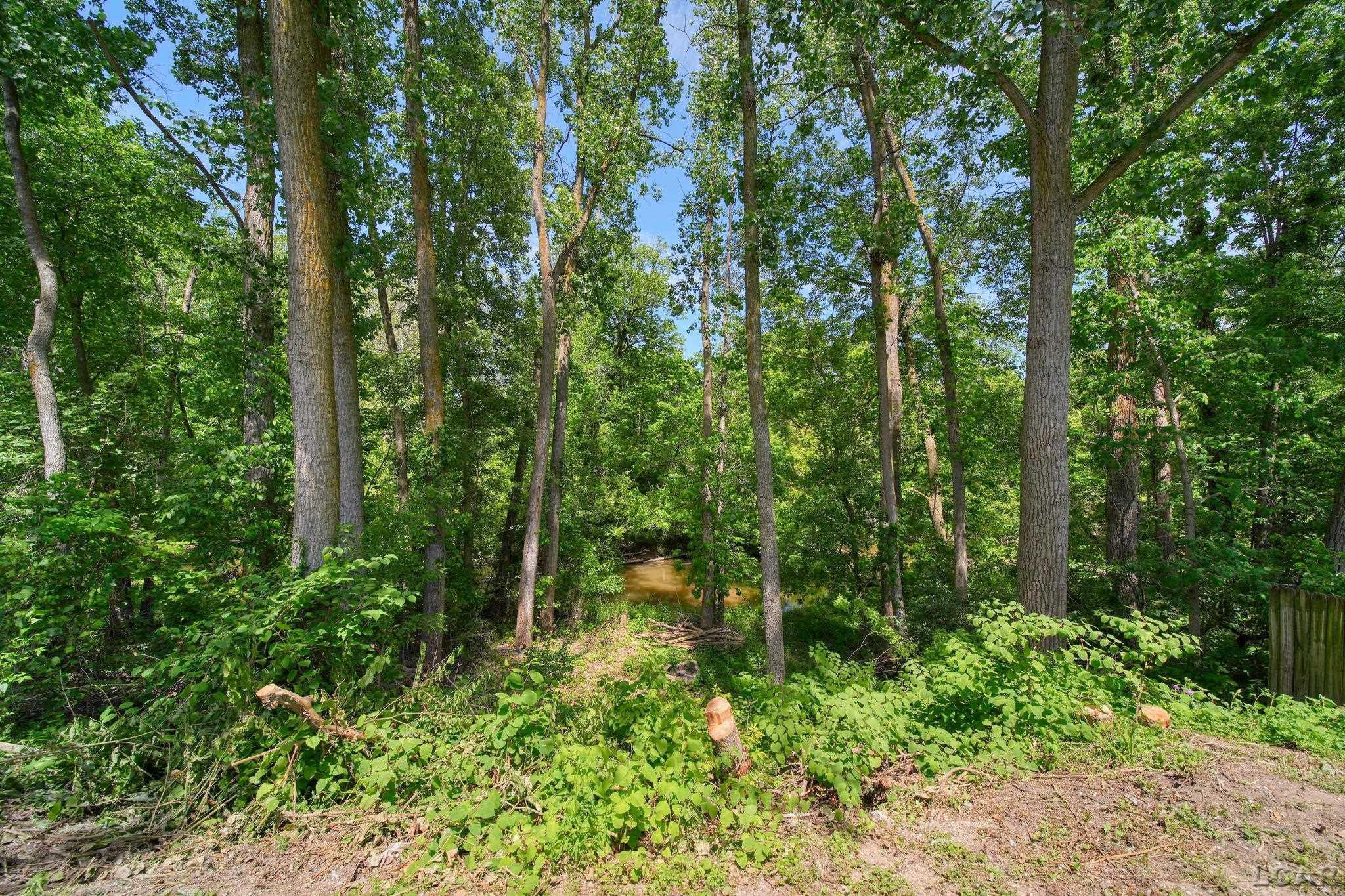 901 Bradish Street, Unit 11, Adrian, MI — Photo 22