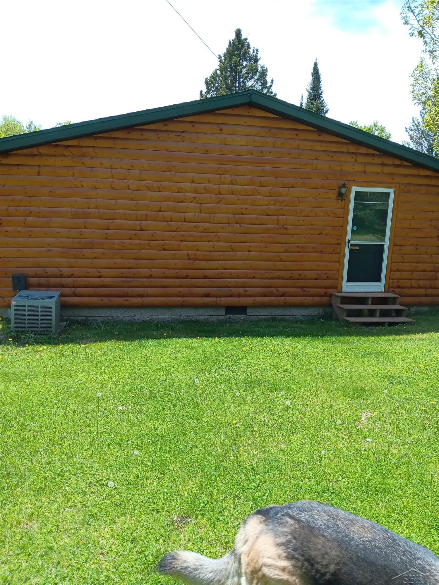 8 W County Rd 424 Road, Gaastra, MI — Photo 6
