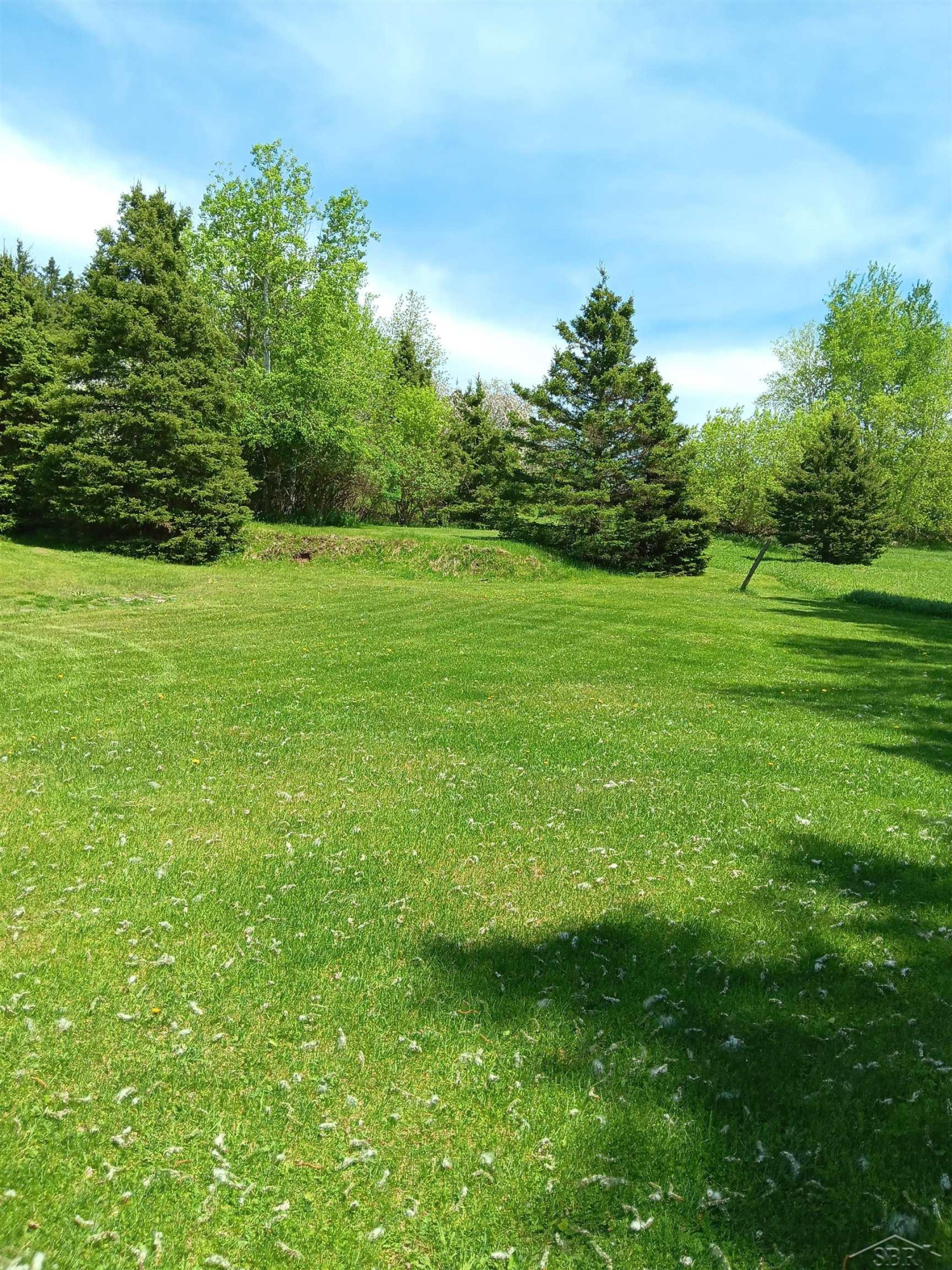 8 W County Rd 424 Road, Gaastra, MI — Photo 33
