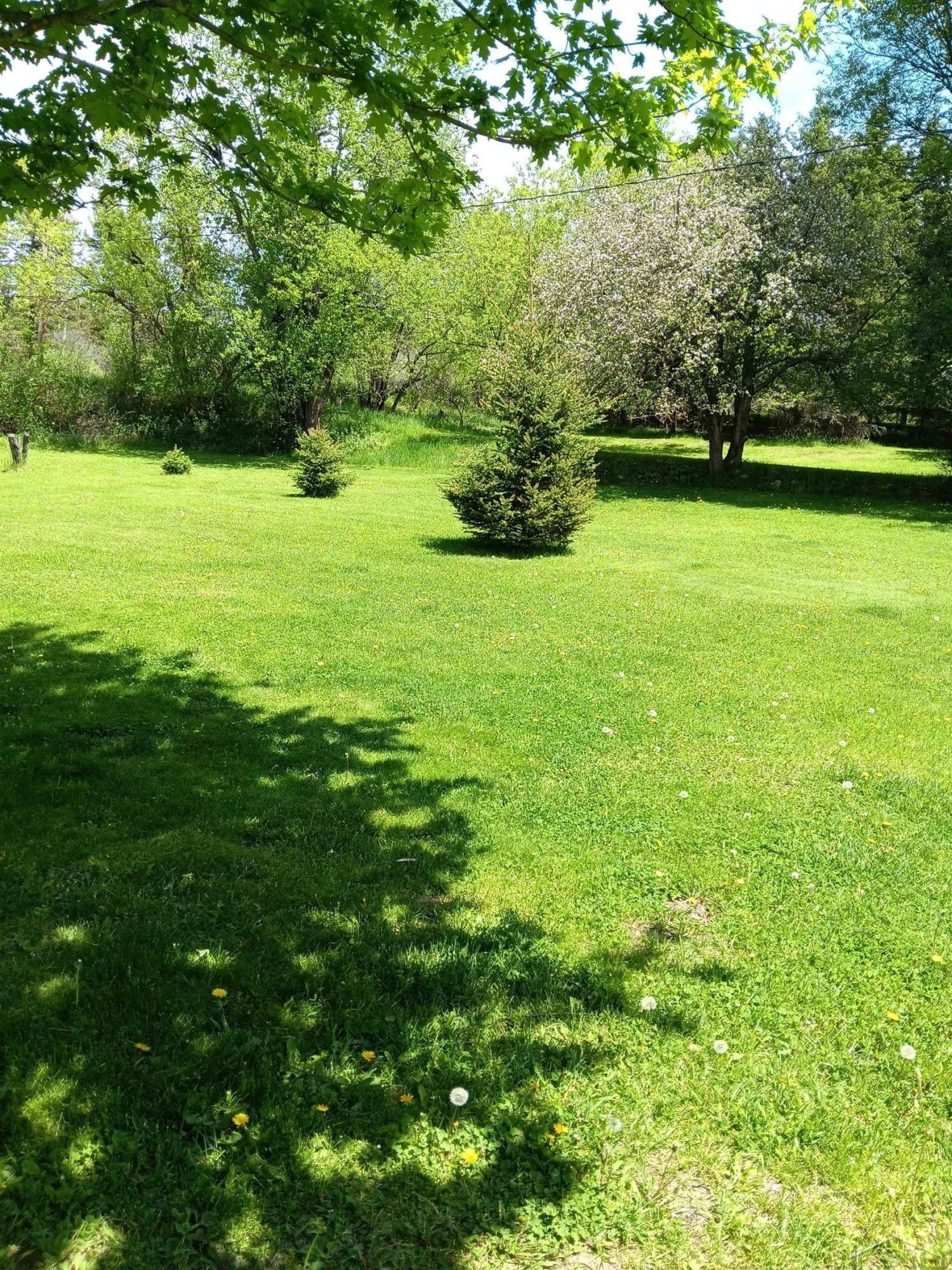 8 W County Rd 424 Road, Gaastra, MI — Photo 35
