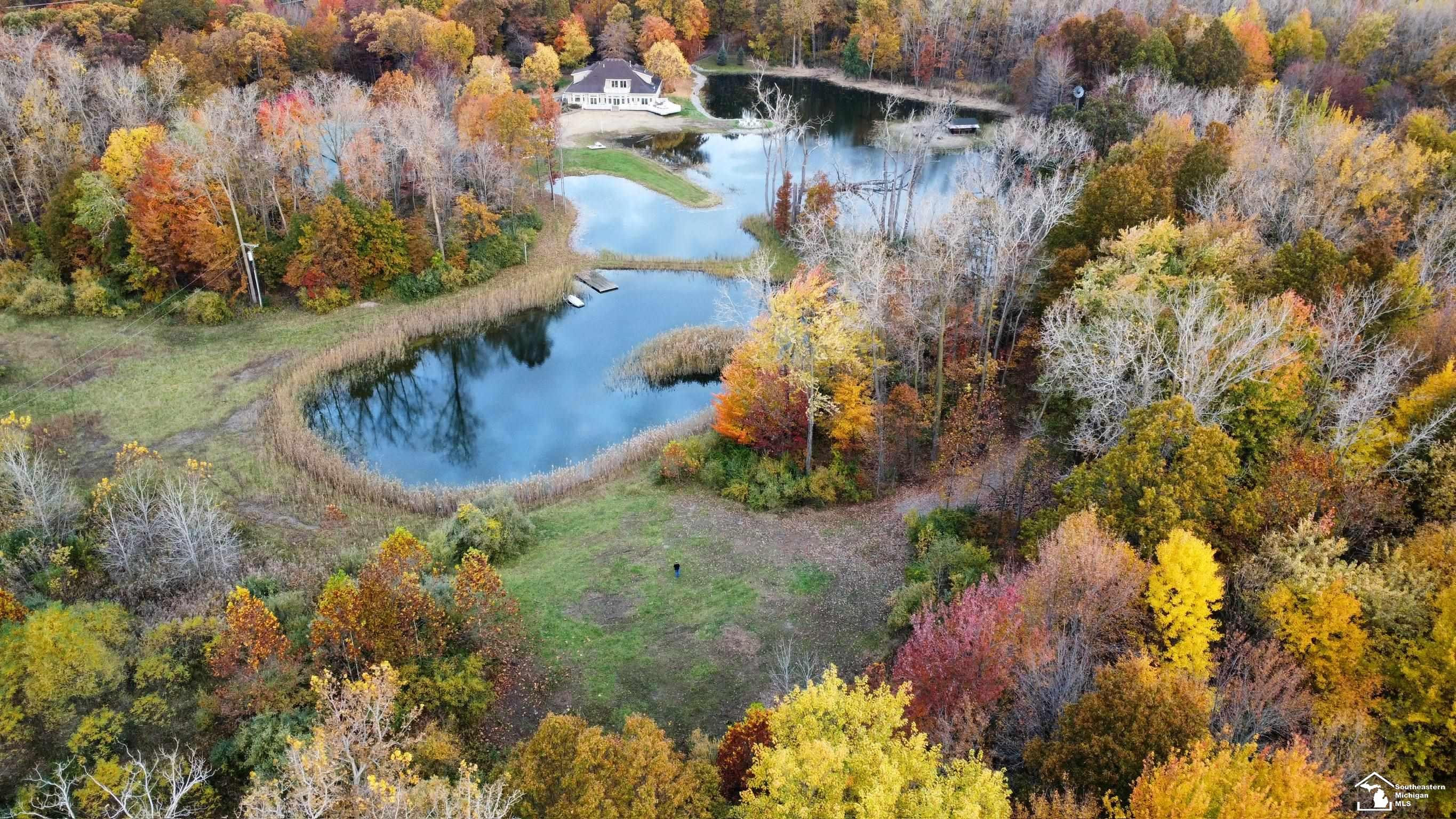 3886 Douglas Road, Ida, MI 48140 — Photo 3