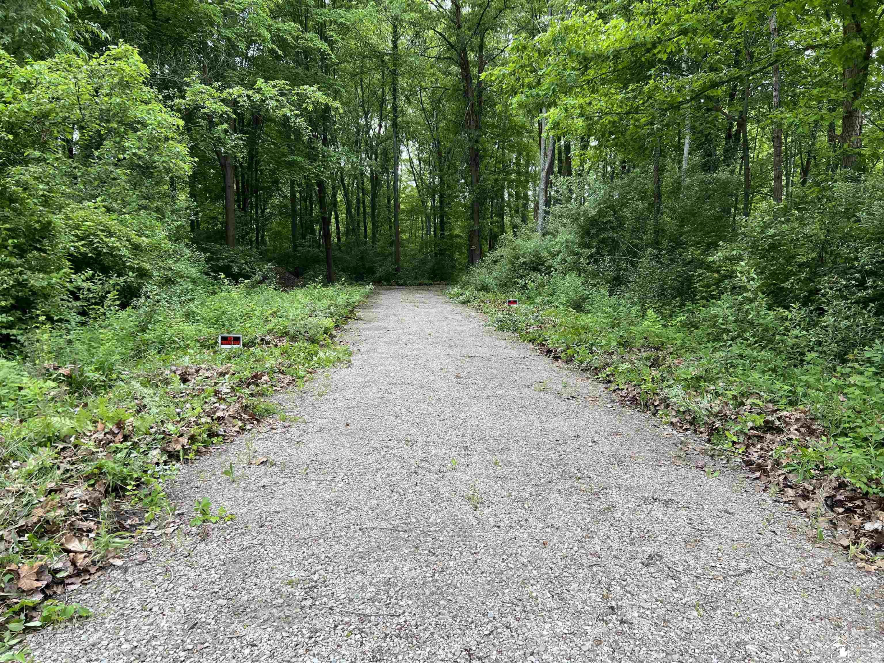 3886 Douglas Road, Ida, MI 48140 — Photo 4
