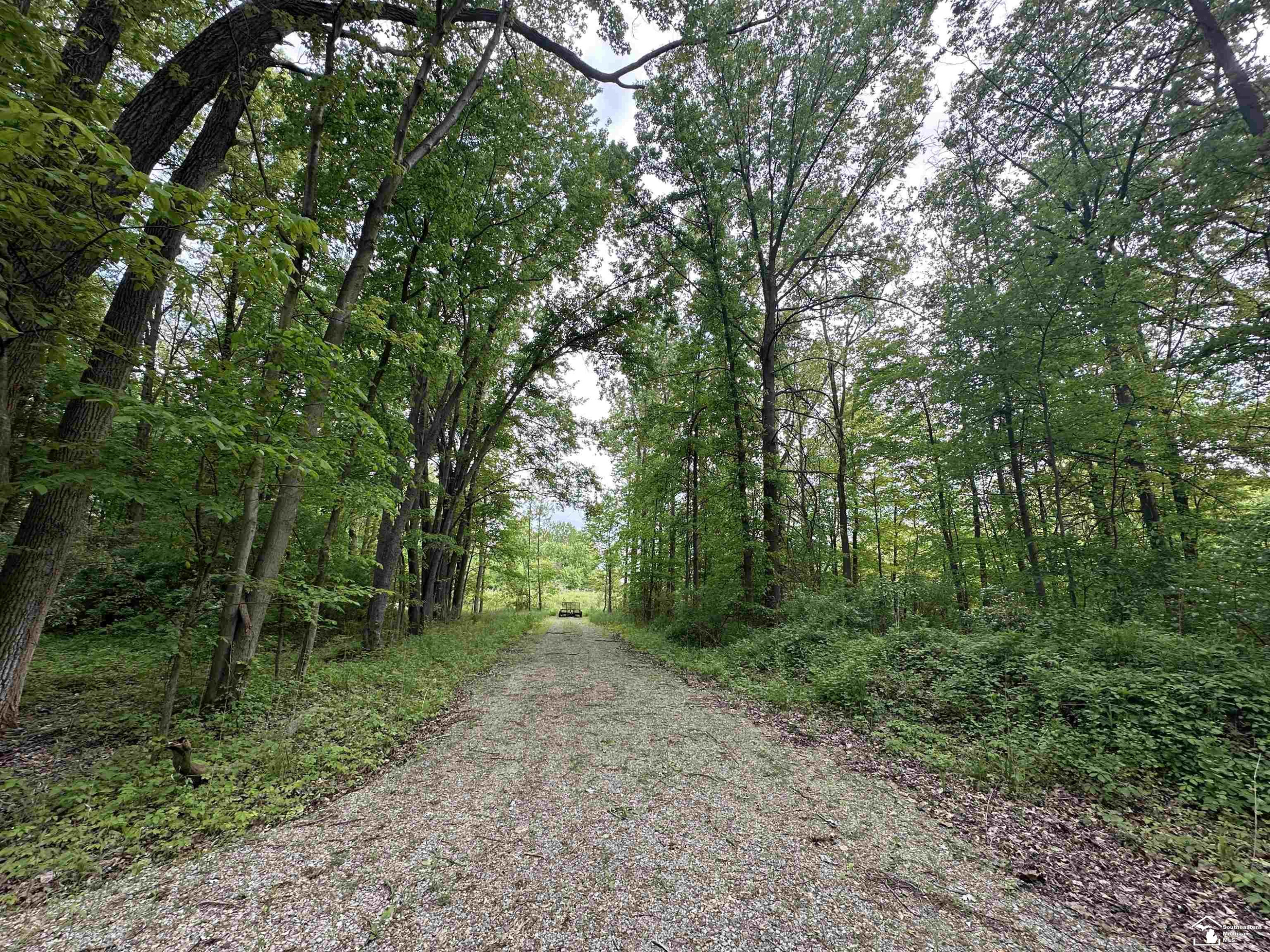 3886 Douglas Road, Ida, MI 48140 — Photo 5