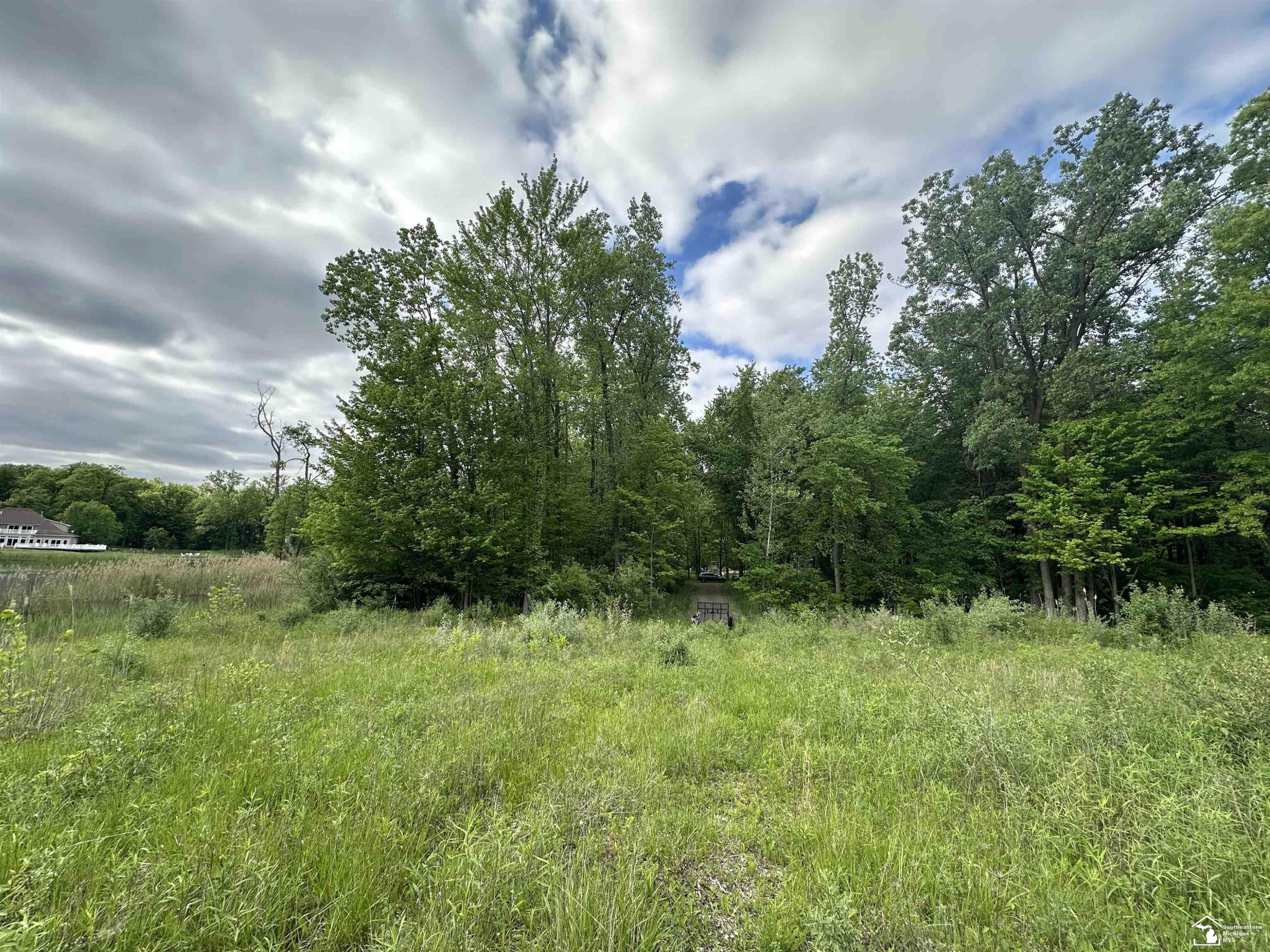 3886 Douglas Road, Ida, MI 48140 — Photo 6
