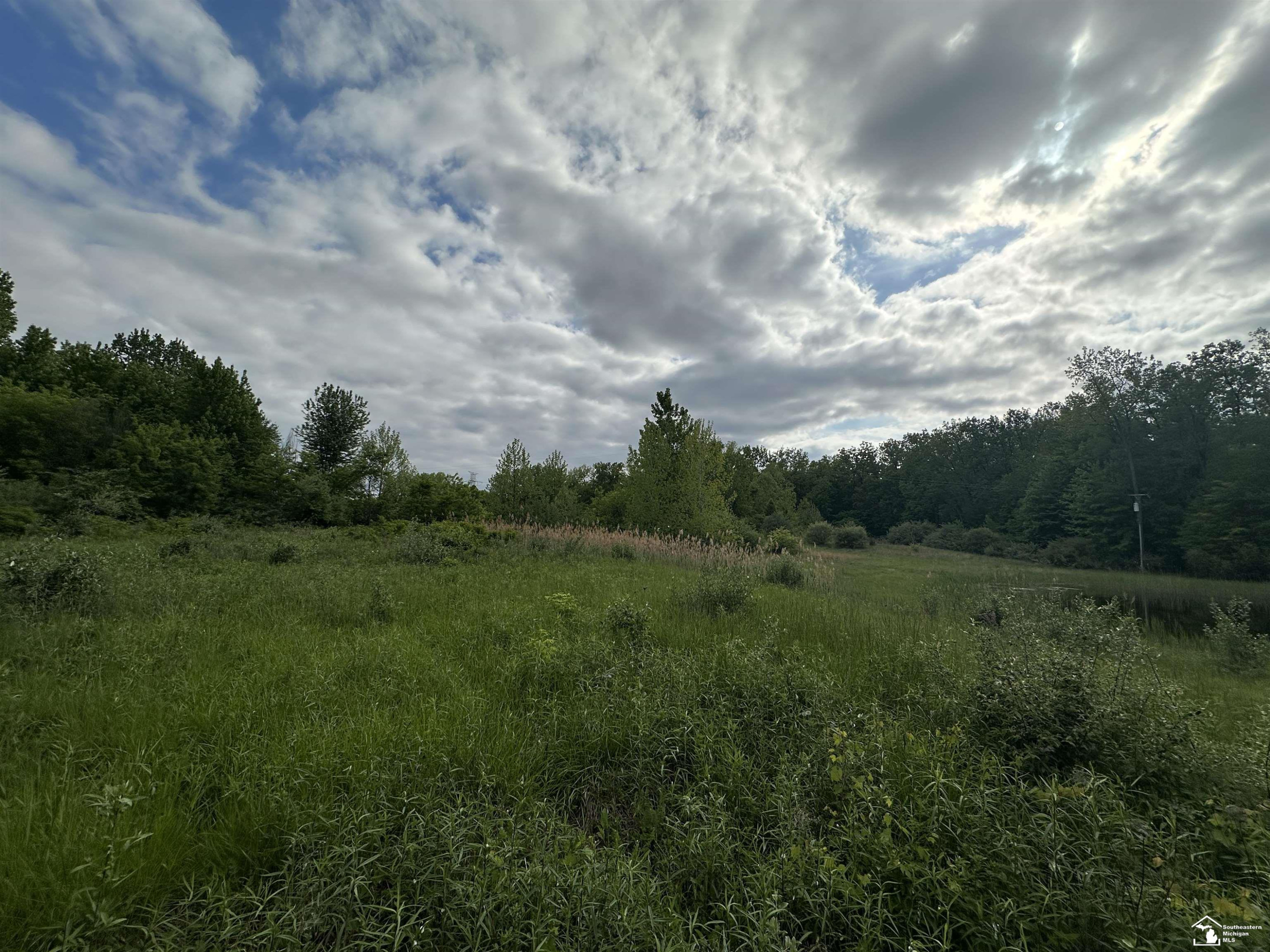 3886 Douglas Road, Ida, MI 48140 — Photo 8