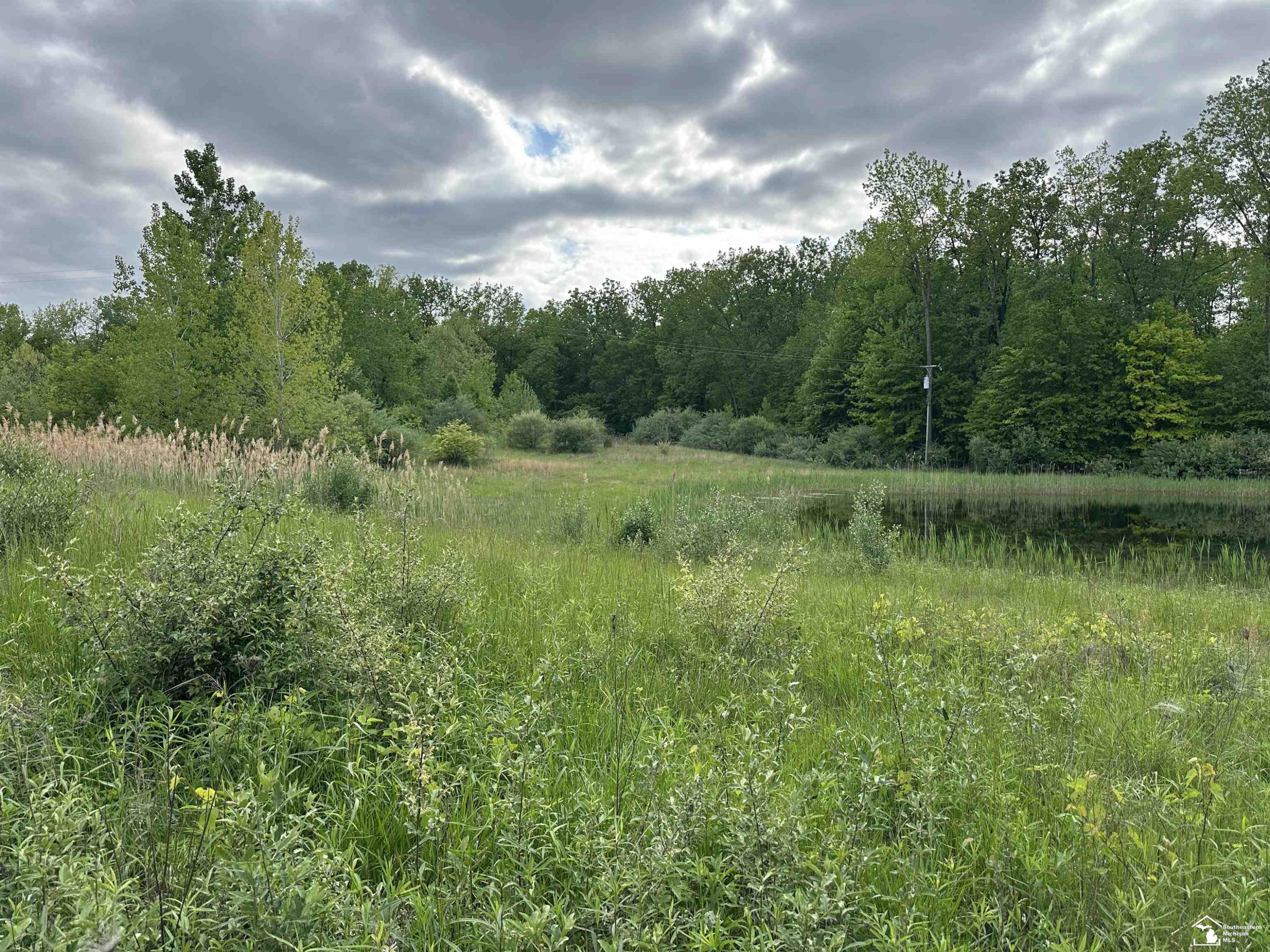 3886 Douglas Road, Ida, MI 48140 — Photo 9
