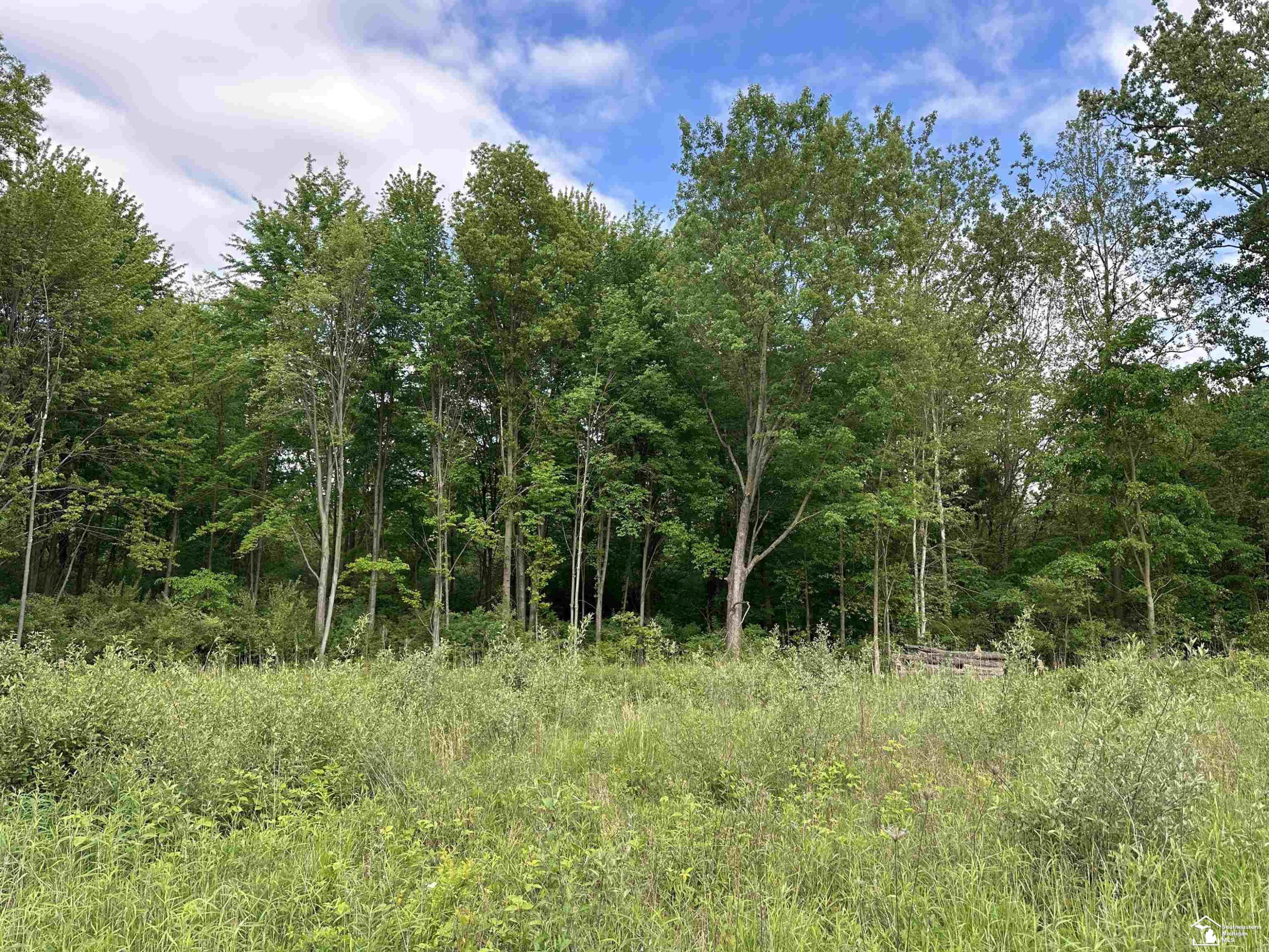 3886 Douglas Road, Ida, MI 48140 — Photo 10