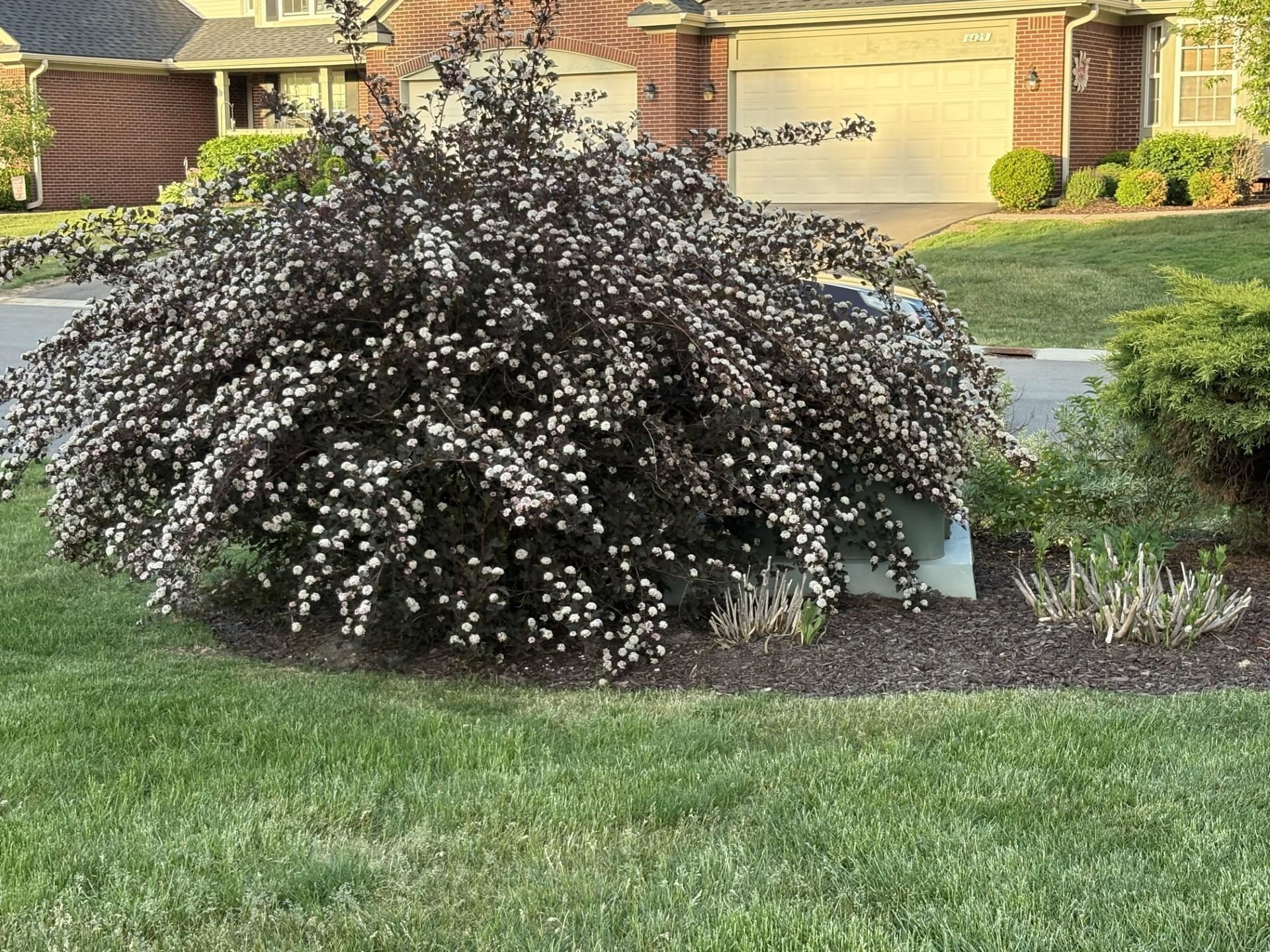 6418 Club Court, Grand Blanc, MI 48439 — Photo 29