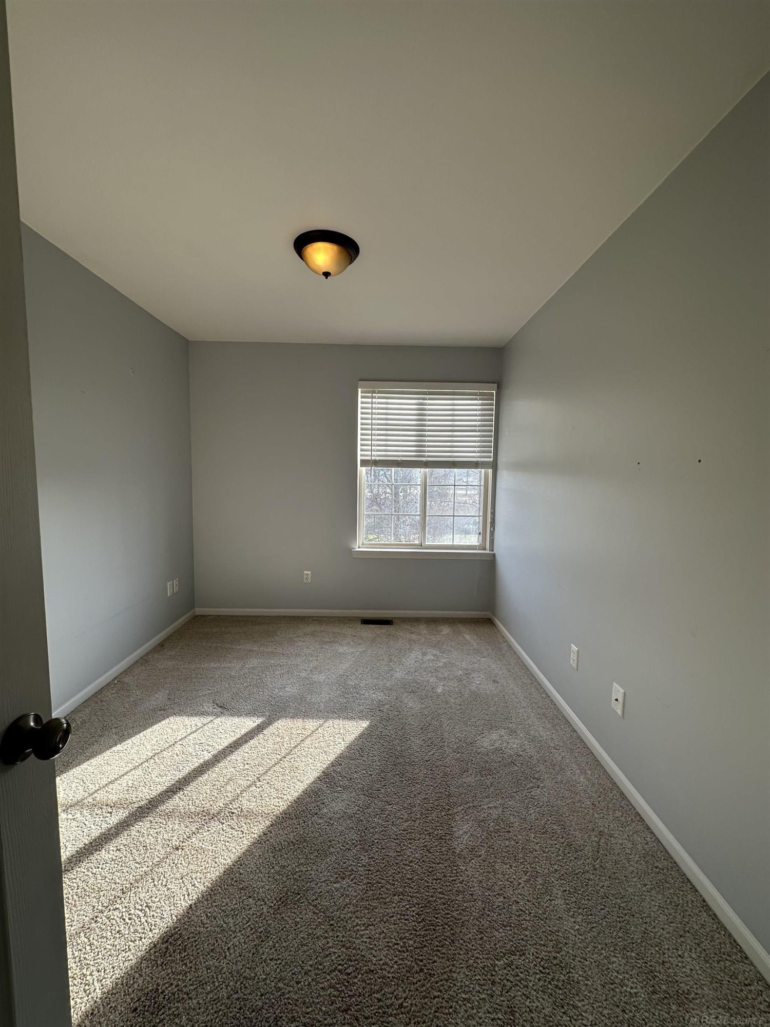 29728 Amy Lane, MI — Photo 21