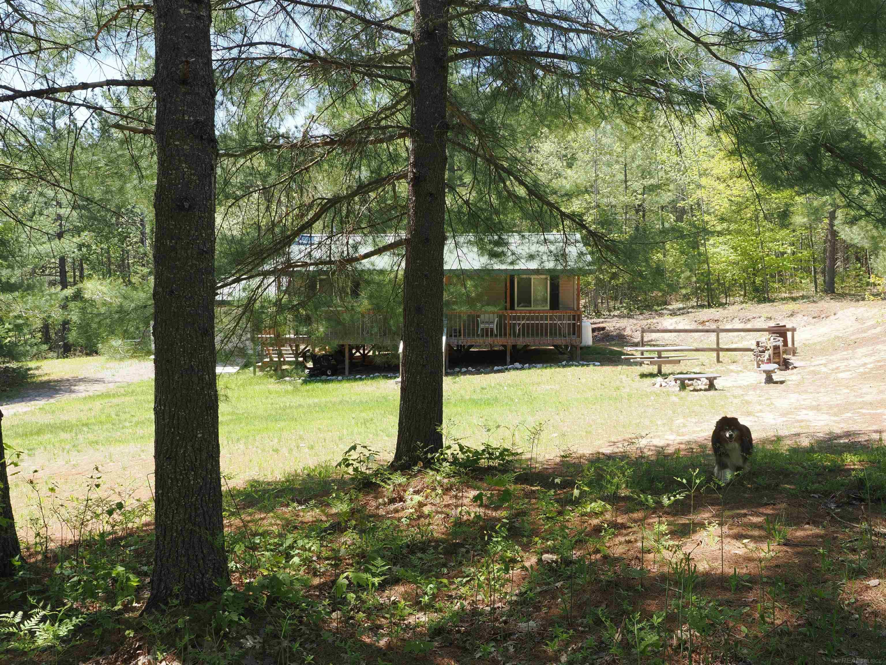 4205 Stoney Creek Road, Afton, MI 49705 — Photo 6
