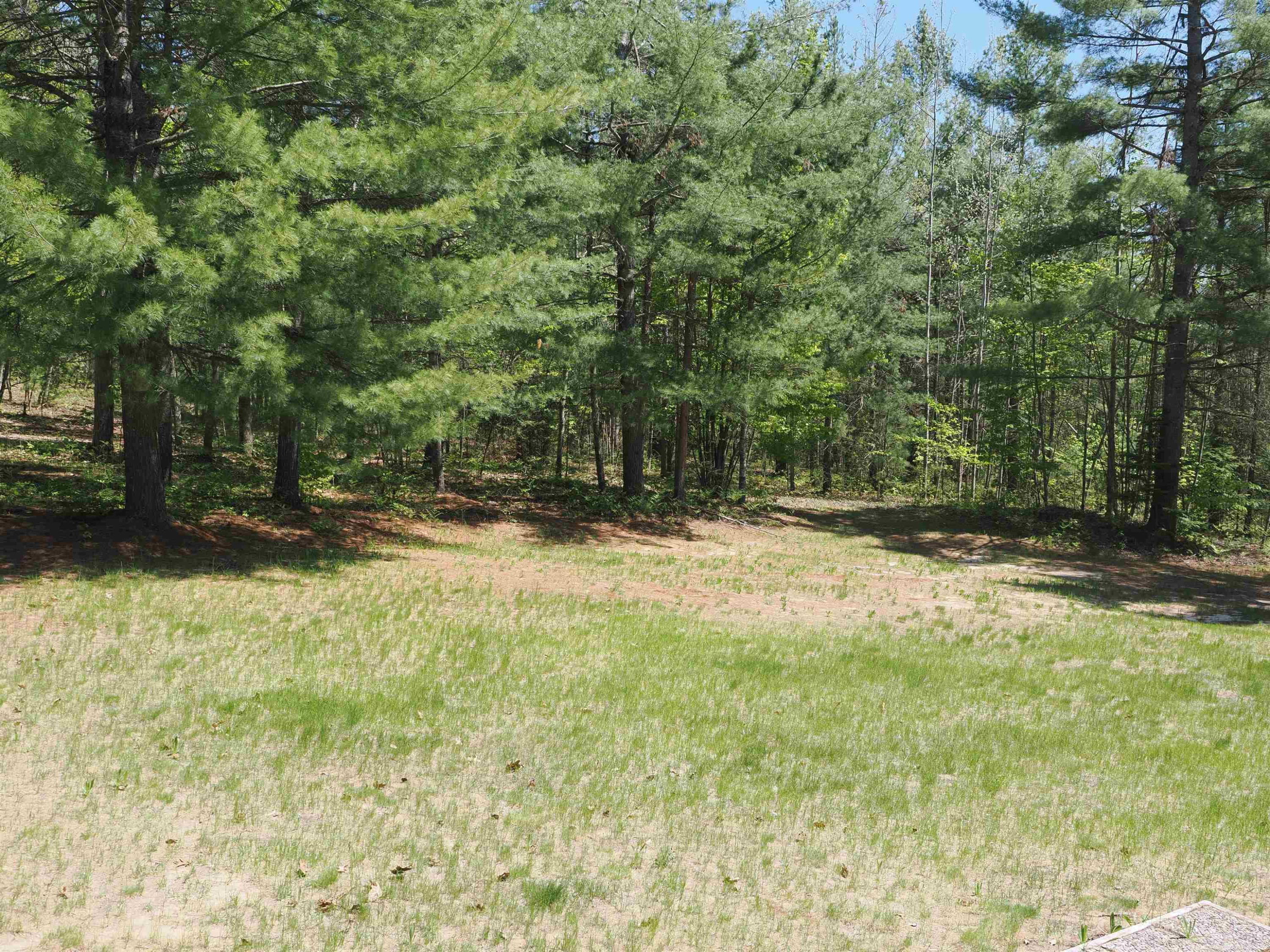 4205 Stoney Creek Road, Afton, MI 49705 — Photo 11