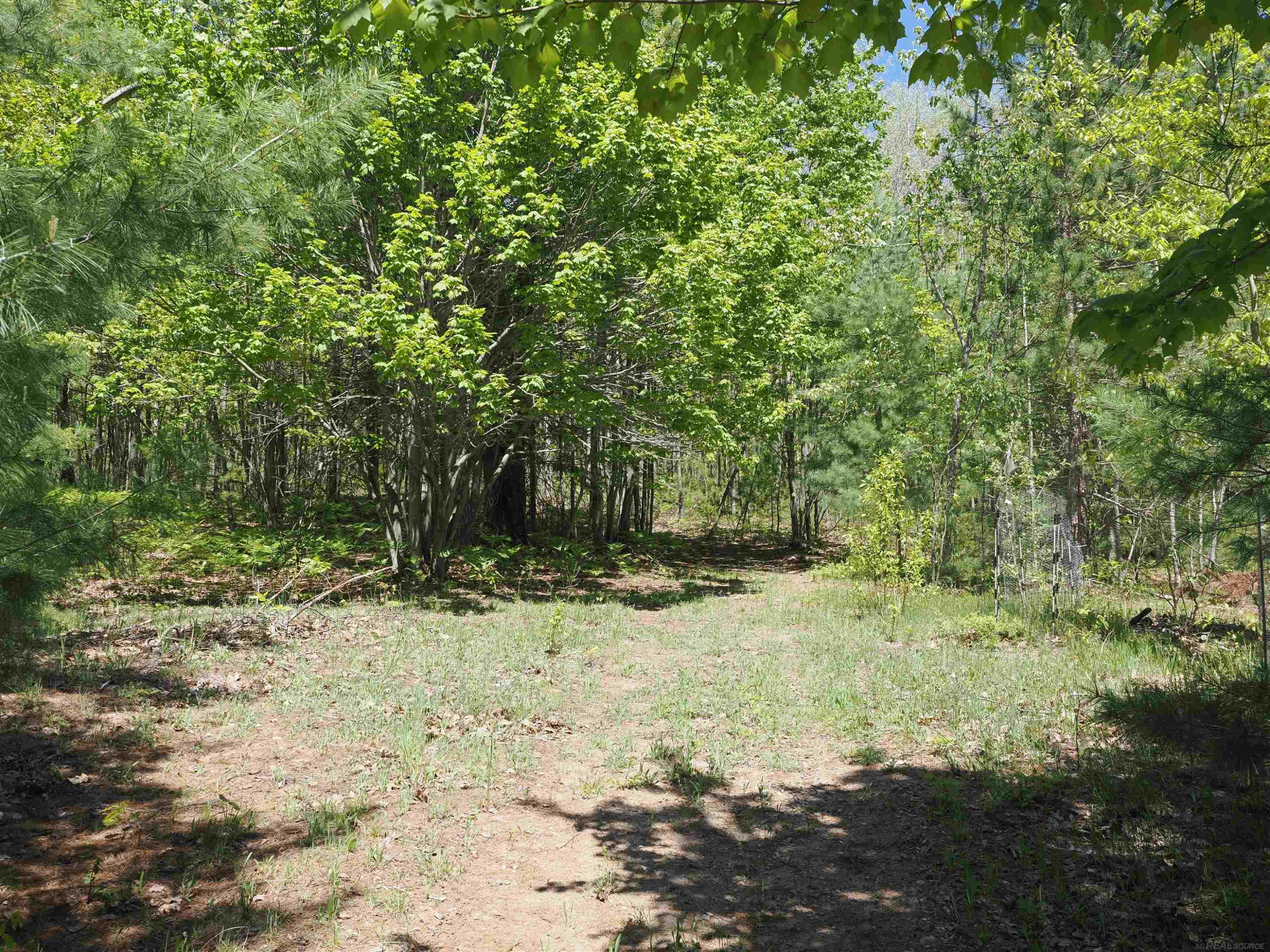 4205 Stoney Creek Road, Afton, MI 49705 — Photo 12