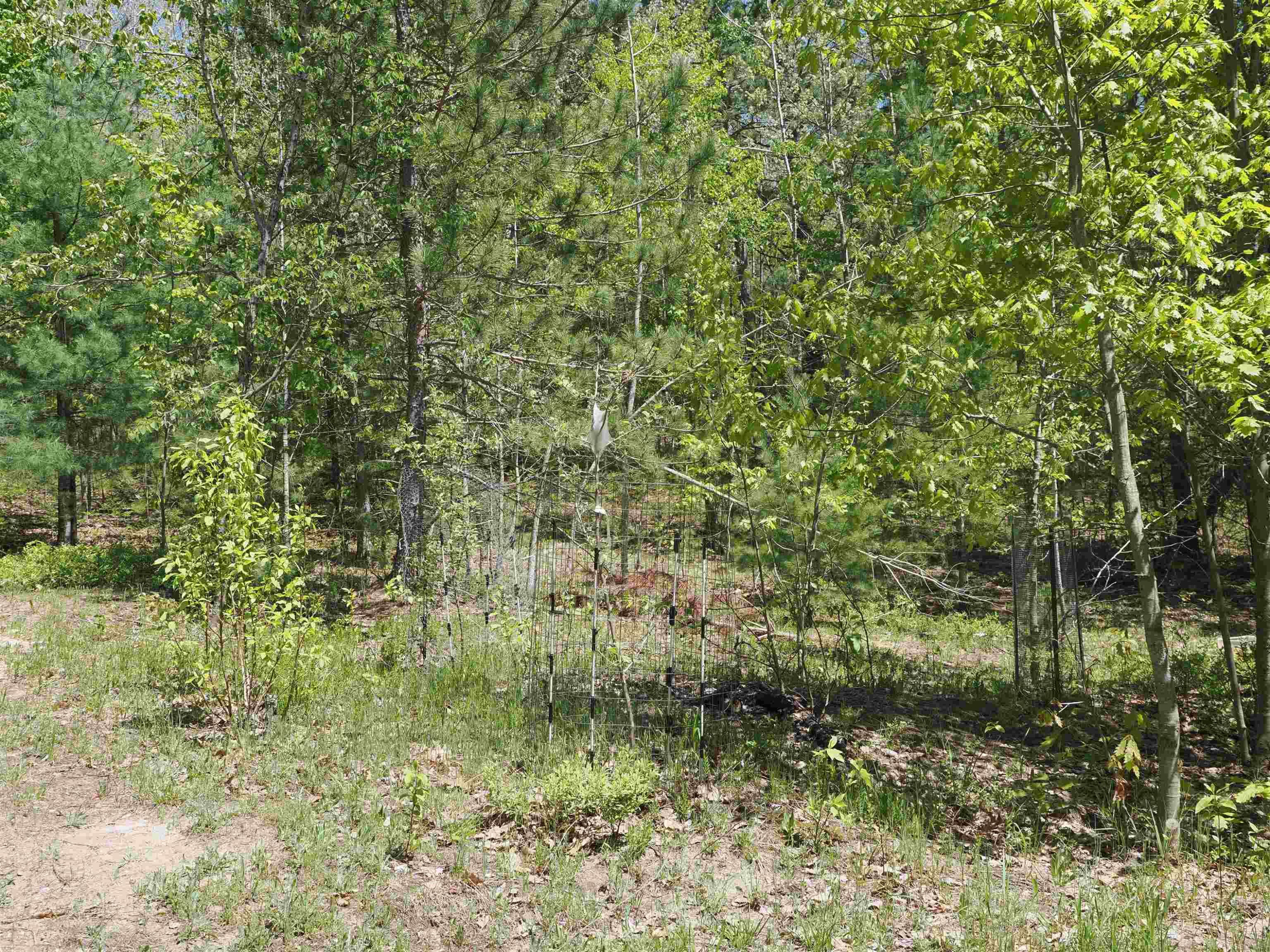 4205 Stoney Creek Road, Afton, MI 49705 — Photo 13