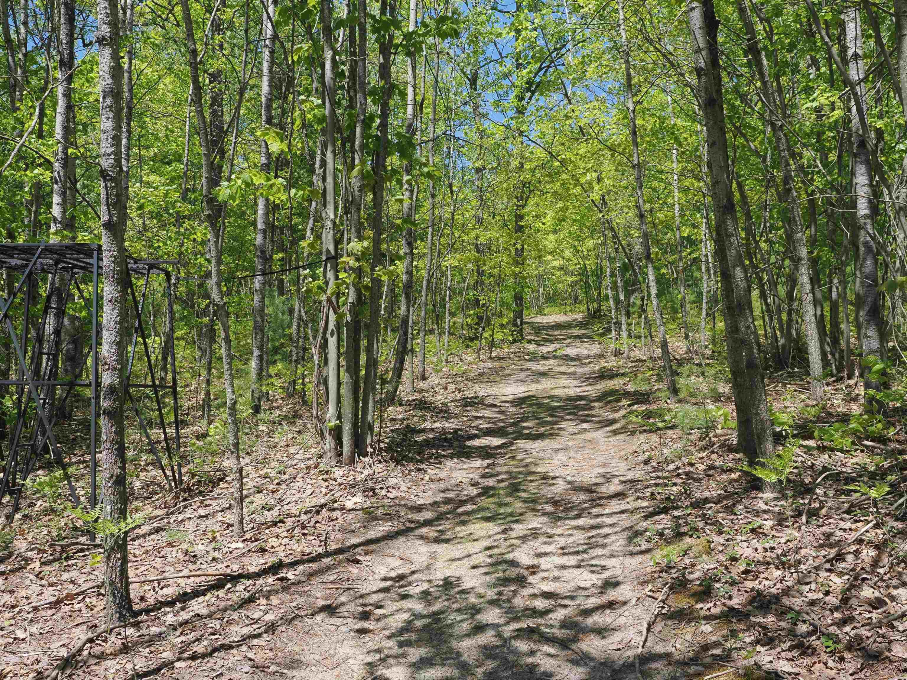 4205 Stoney Creek Road, Afton, MI 49705 — Photo 20
