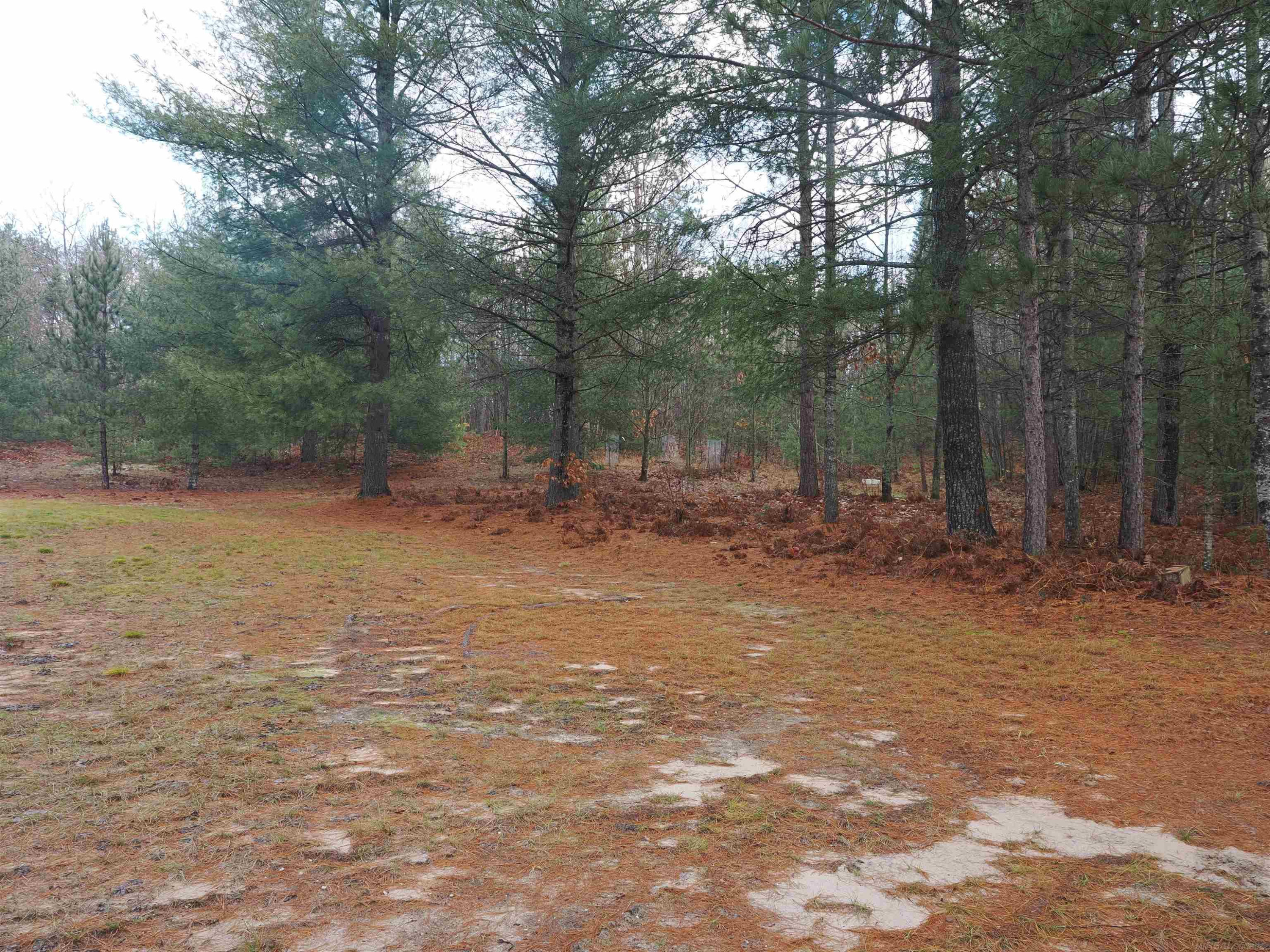 4205 Stoney Creek Road, Afton, MI 49705 — Photo 22