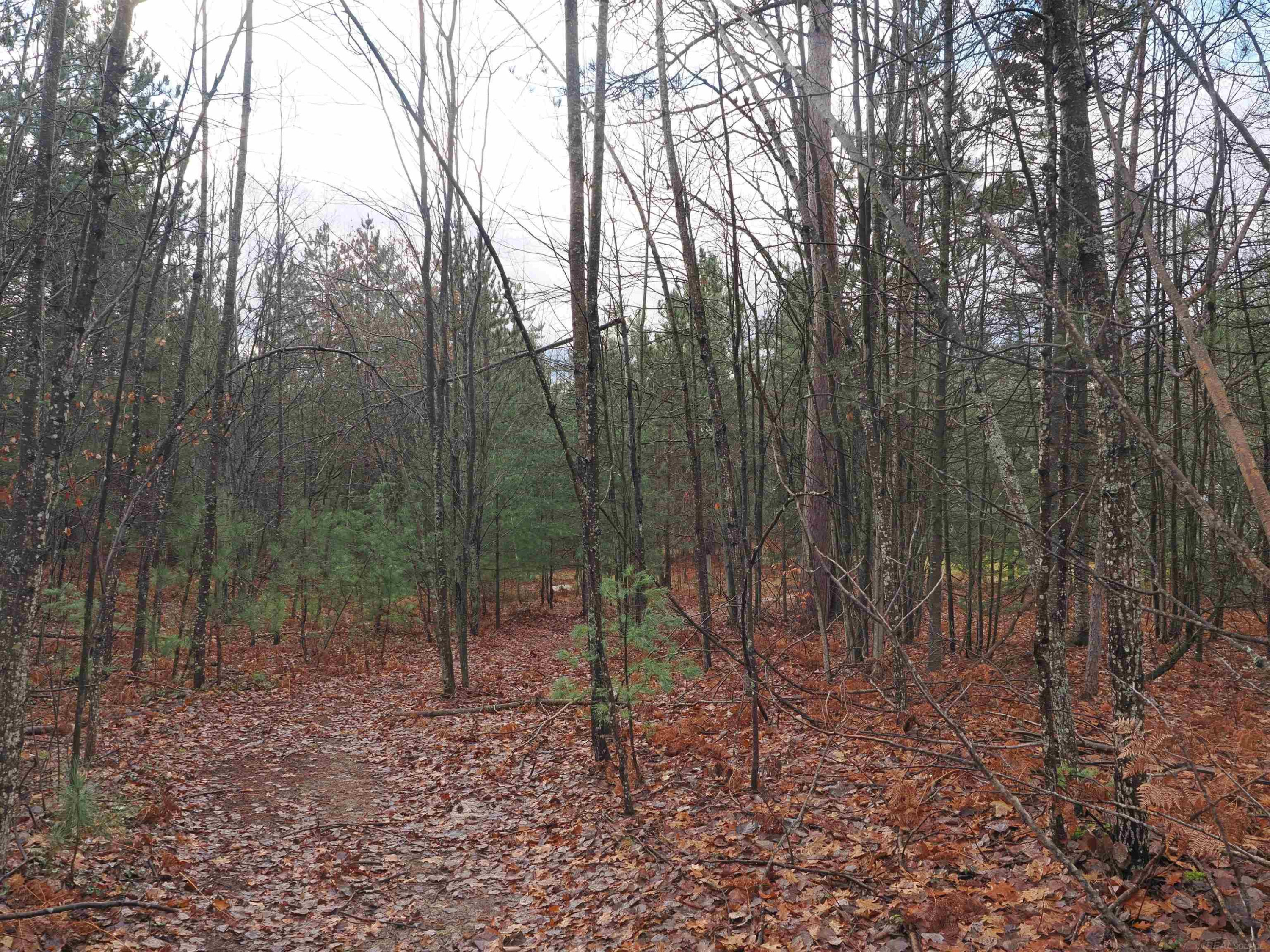 4205 Stoney Creek Road, Afton, MI 49705 — Photo 25