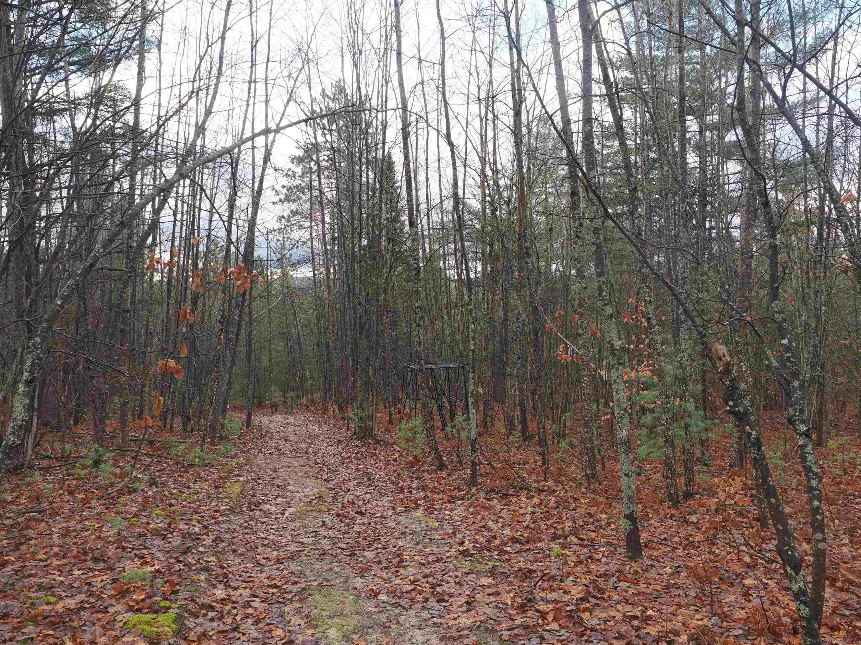 4205 Stoney Creek Road, Afton, MI 49705 — Photo 26