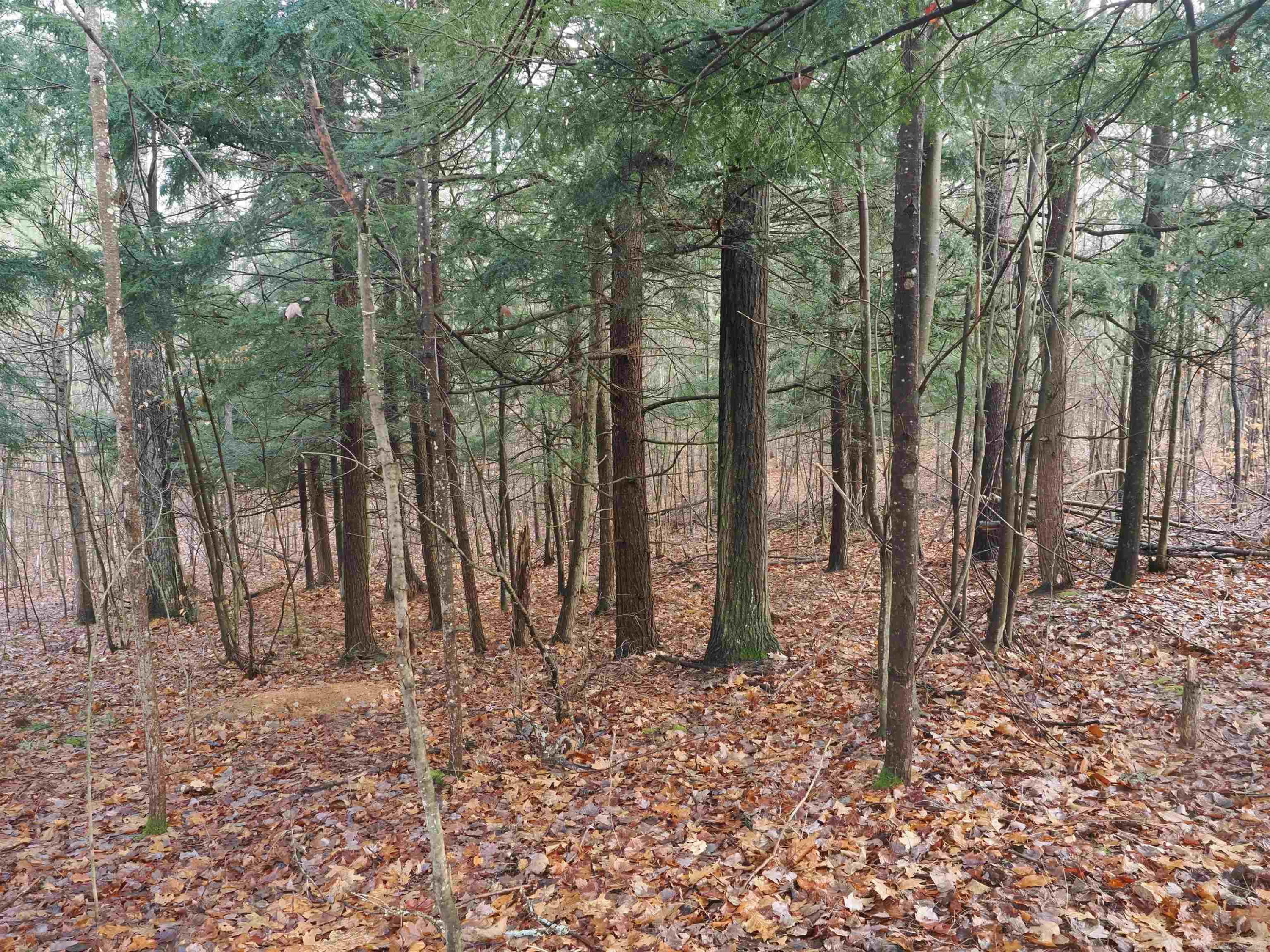 4205 Stoney Creek Road, Afton, MI 49705 — Photo 38