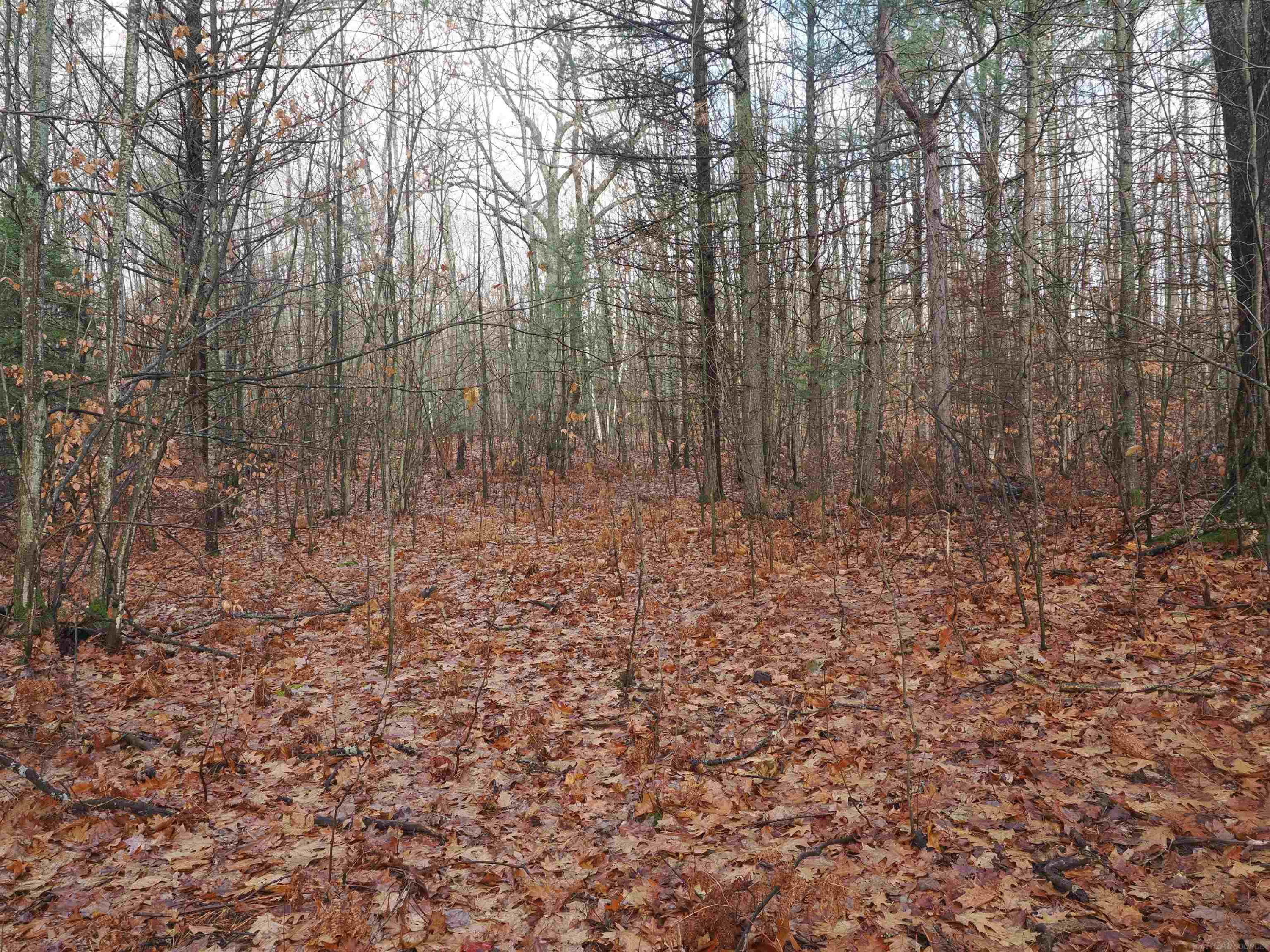 4205 Stoney Creek Road, Afton, MI 49705 — Photo 39