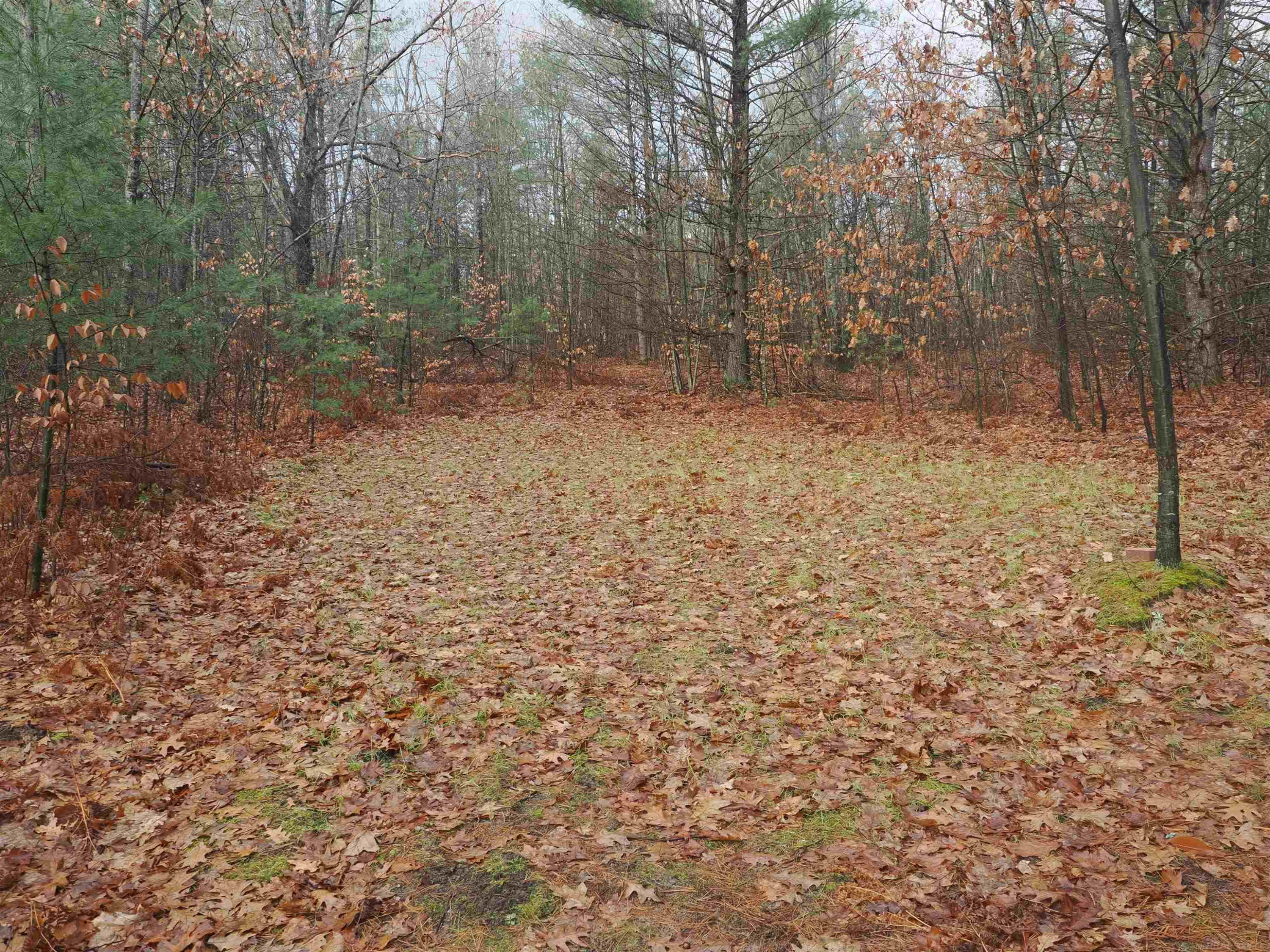 4205 Stoney Creek Road, Afton, MI 49705 — Photo 40