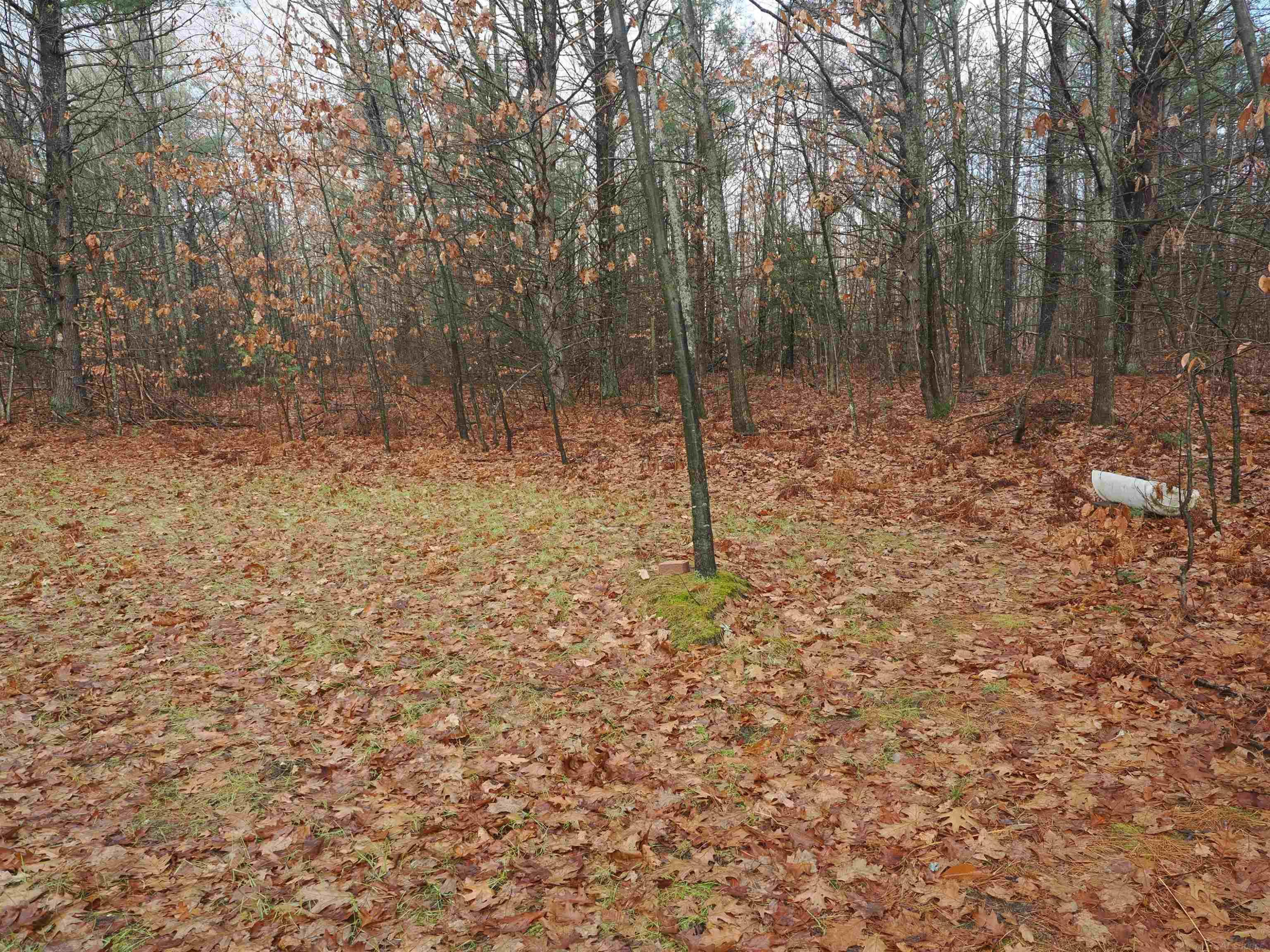 4205 Stoney Creek Road, Afton, MI 49705 — Photo 41