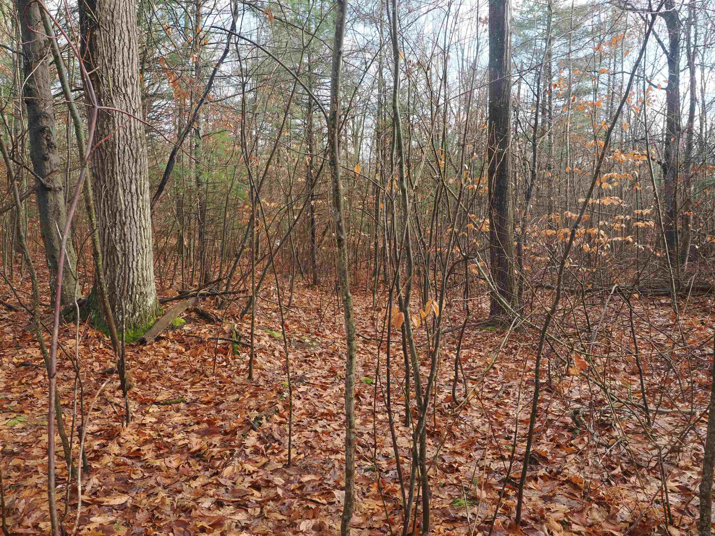 4205 Stoney Creek Road, Afton, MI 49705 — Photo 43