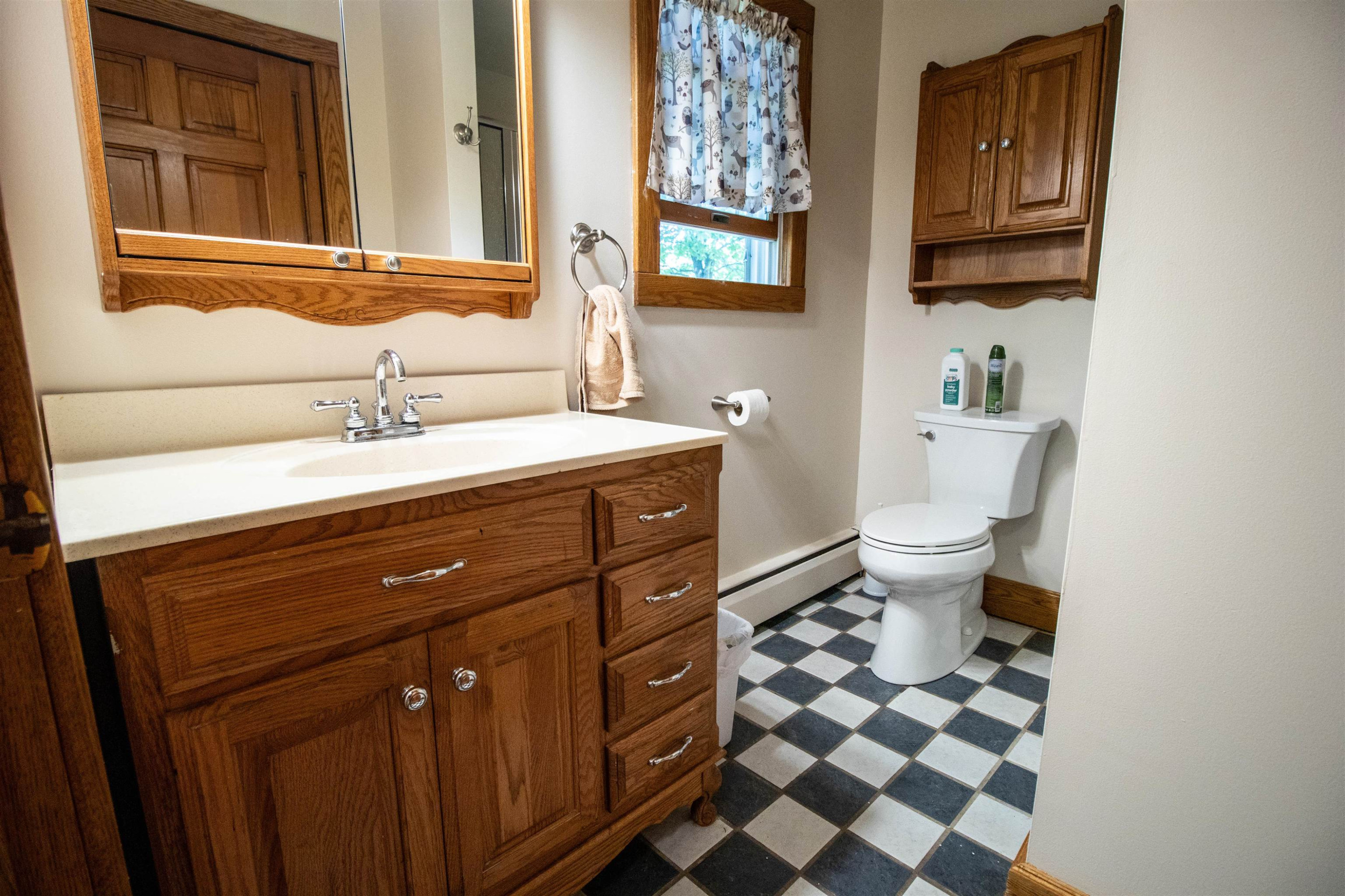 204 Clifford Street, Saint Charles, MI 48655 — Photo 18