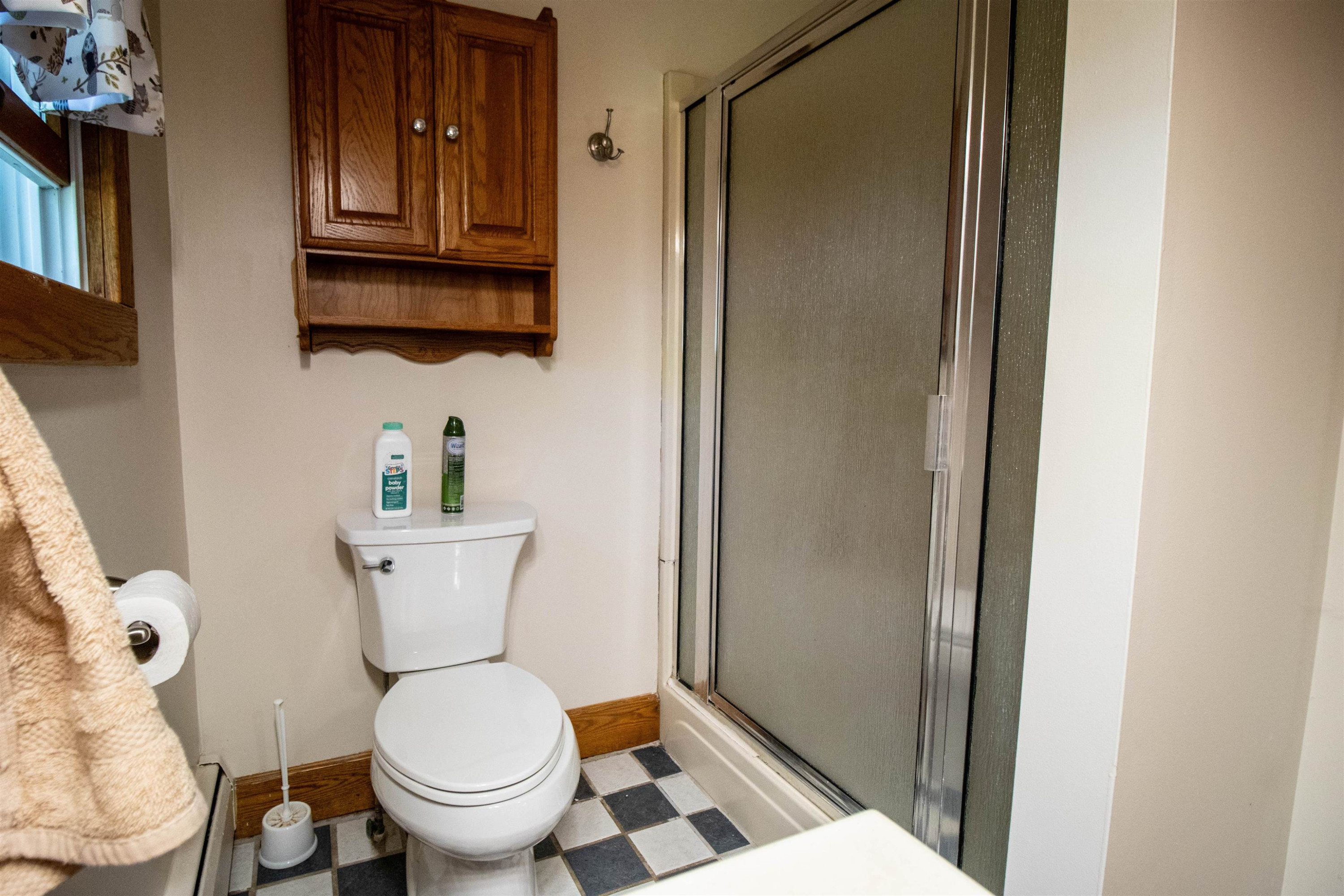 204 Clifford Street, Saint Charles, MI 48655 — Photo 19