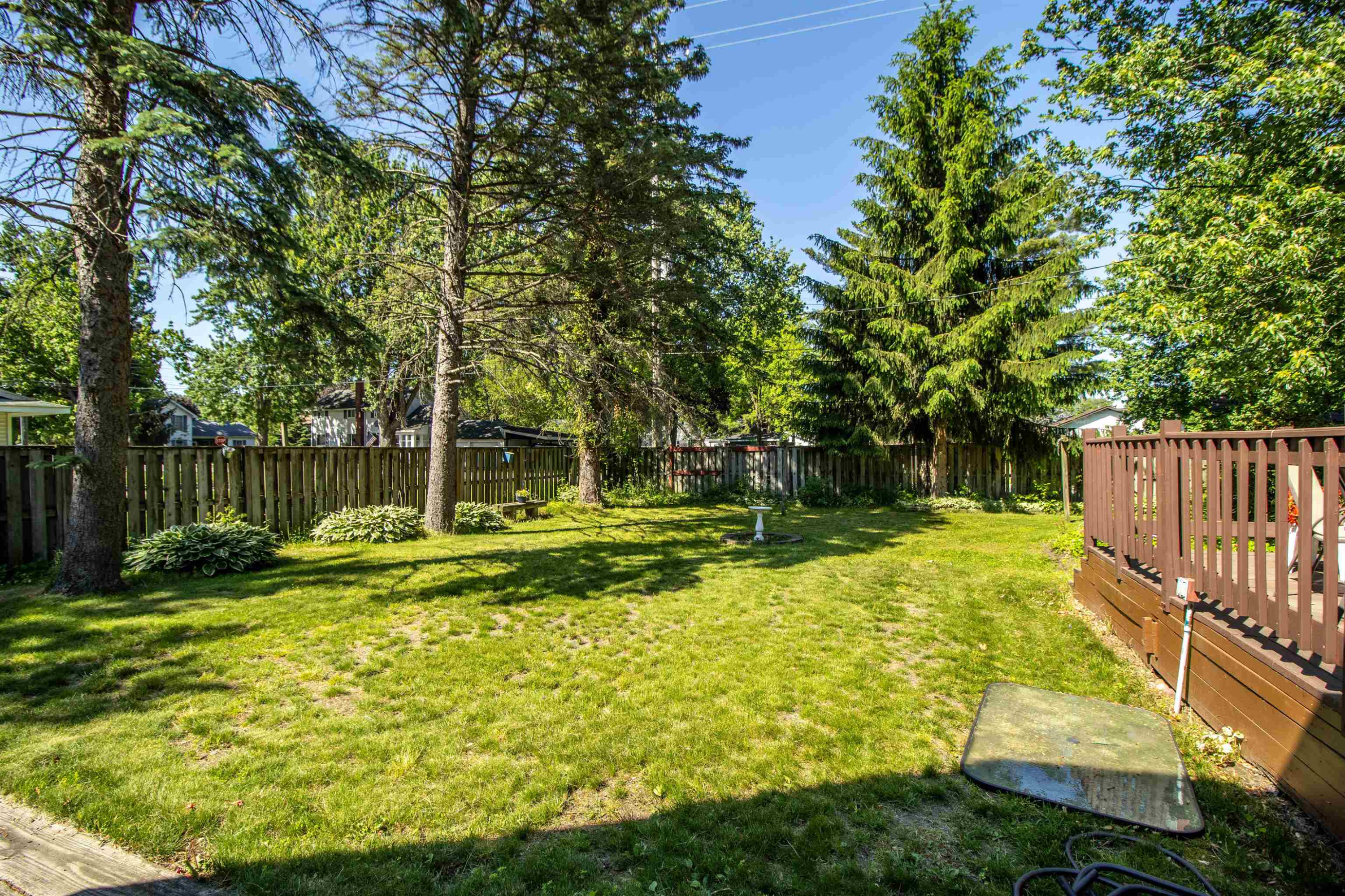 204 Clifford Street, Saint Charles, MI 48655 — Photo 39
