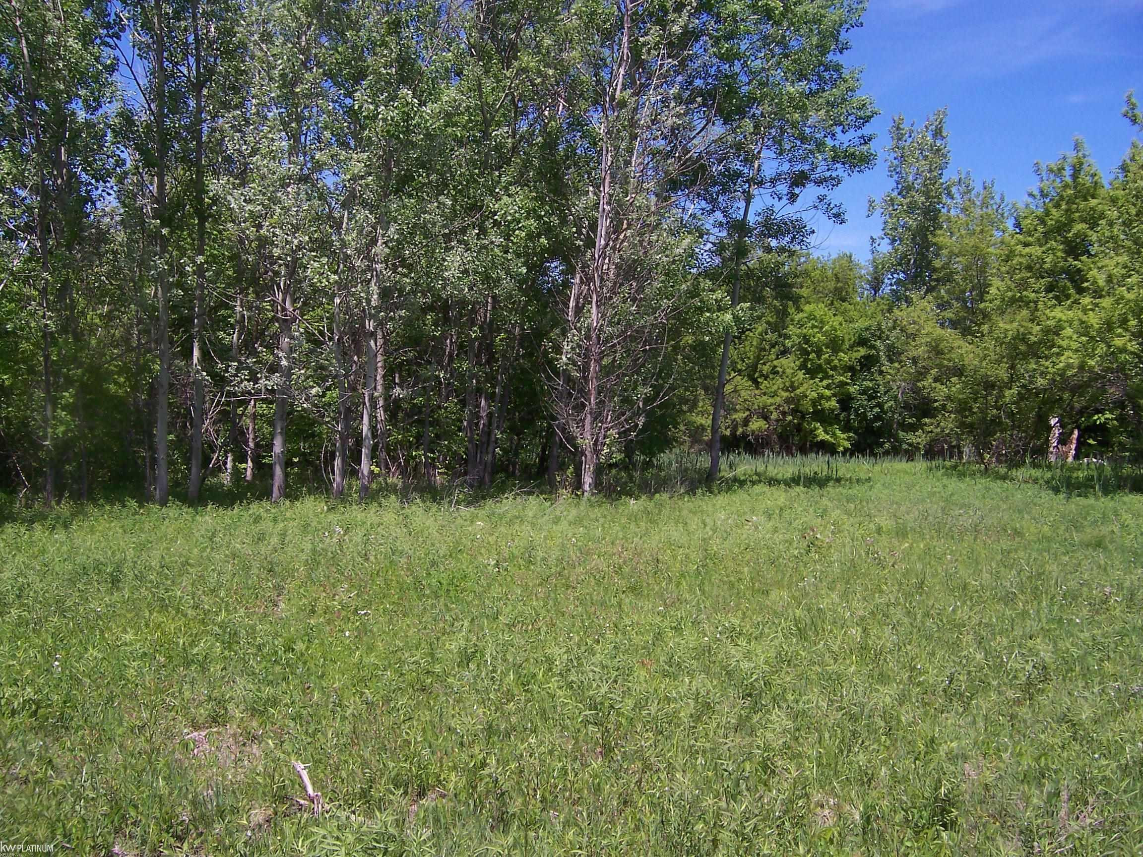 Lot 1 Lapeer Rd Road, Kimball, MI — Photo 2