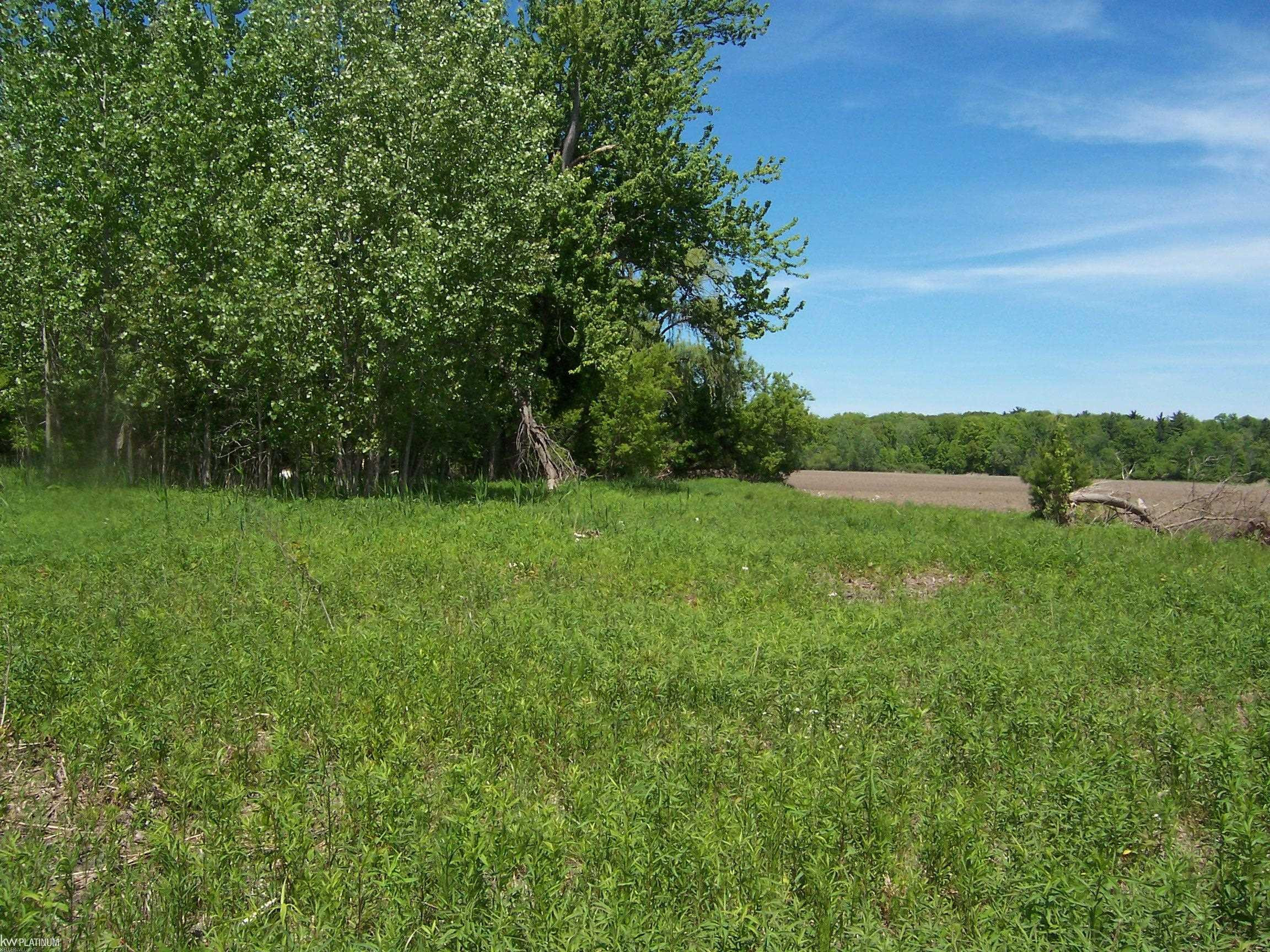 Lot 2 Lapeer Rd Road, Kimball, MI