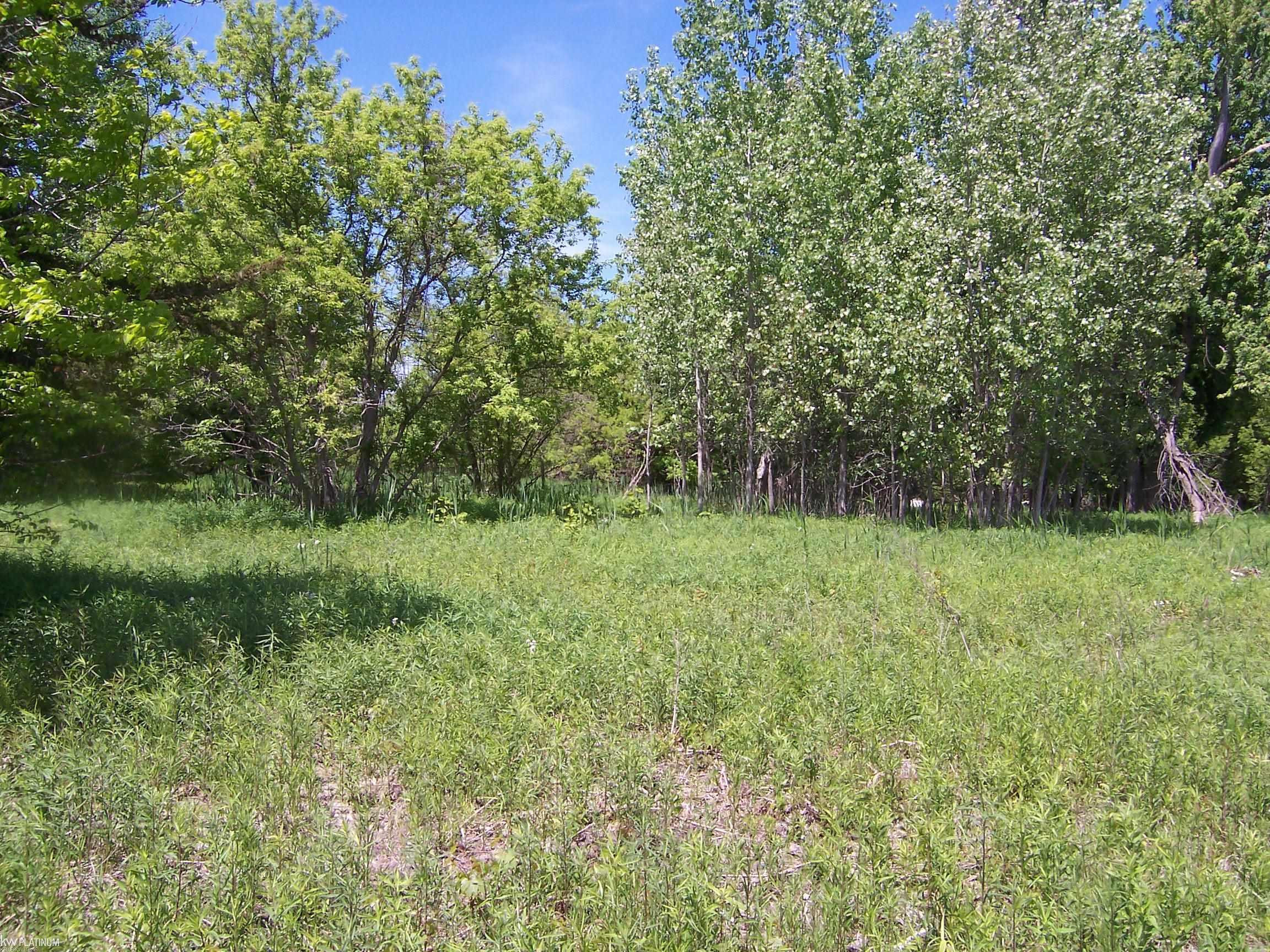 Lot 2 Lapeer Rd Road, Kimball, MI — Photo 2