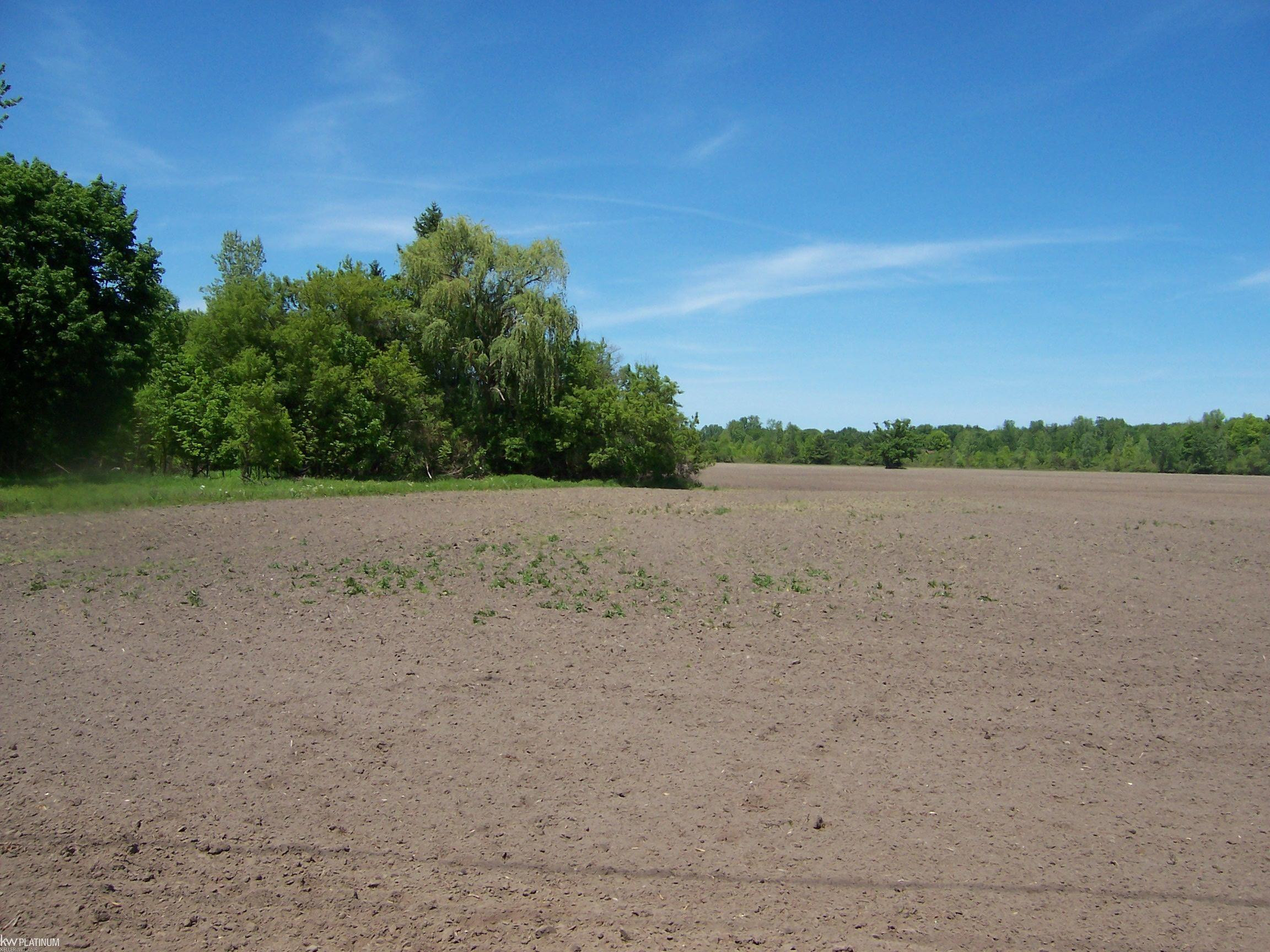 Lot 3 Lapeer Rd Road, Kimball, MI