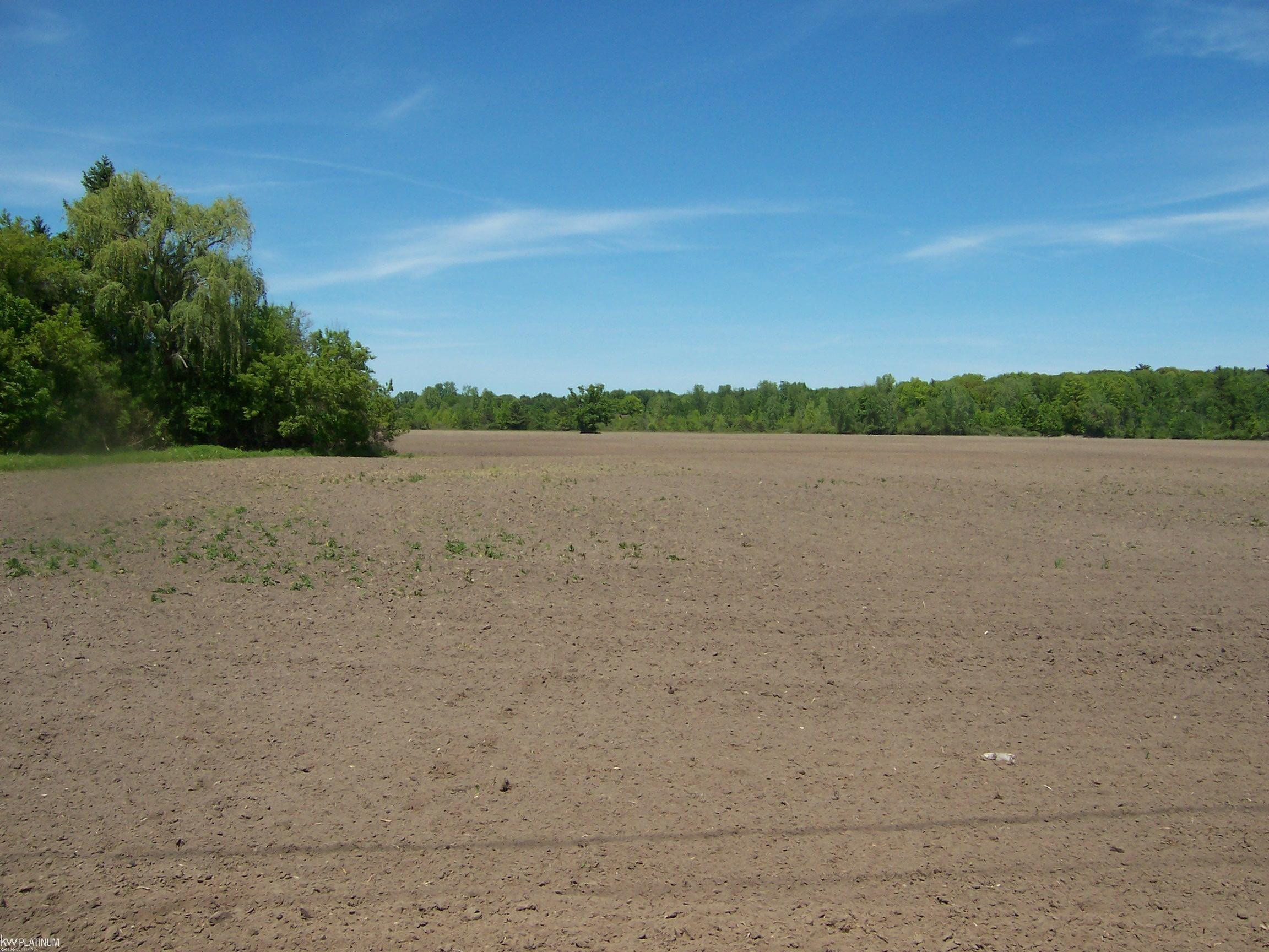 Lot 3 Lapeer Rd Road, Kimball, MI — Photo 2