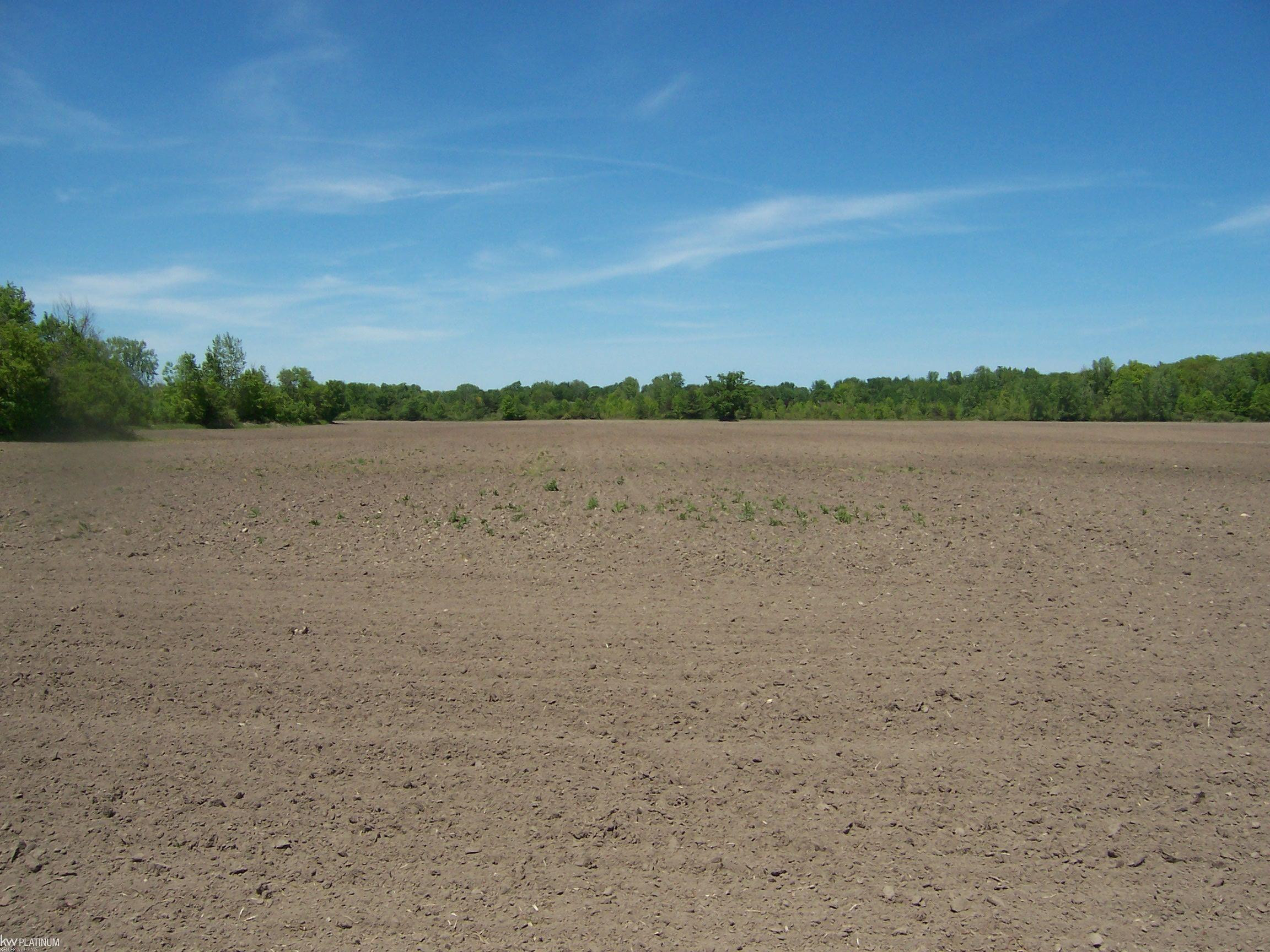 Lot 4 Lapeer Rd Road, Kimball, MI