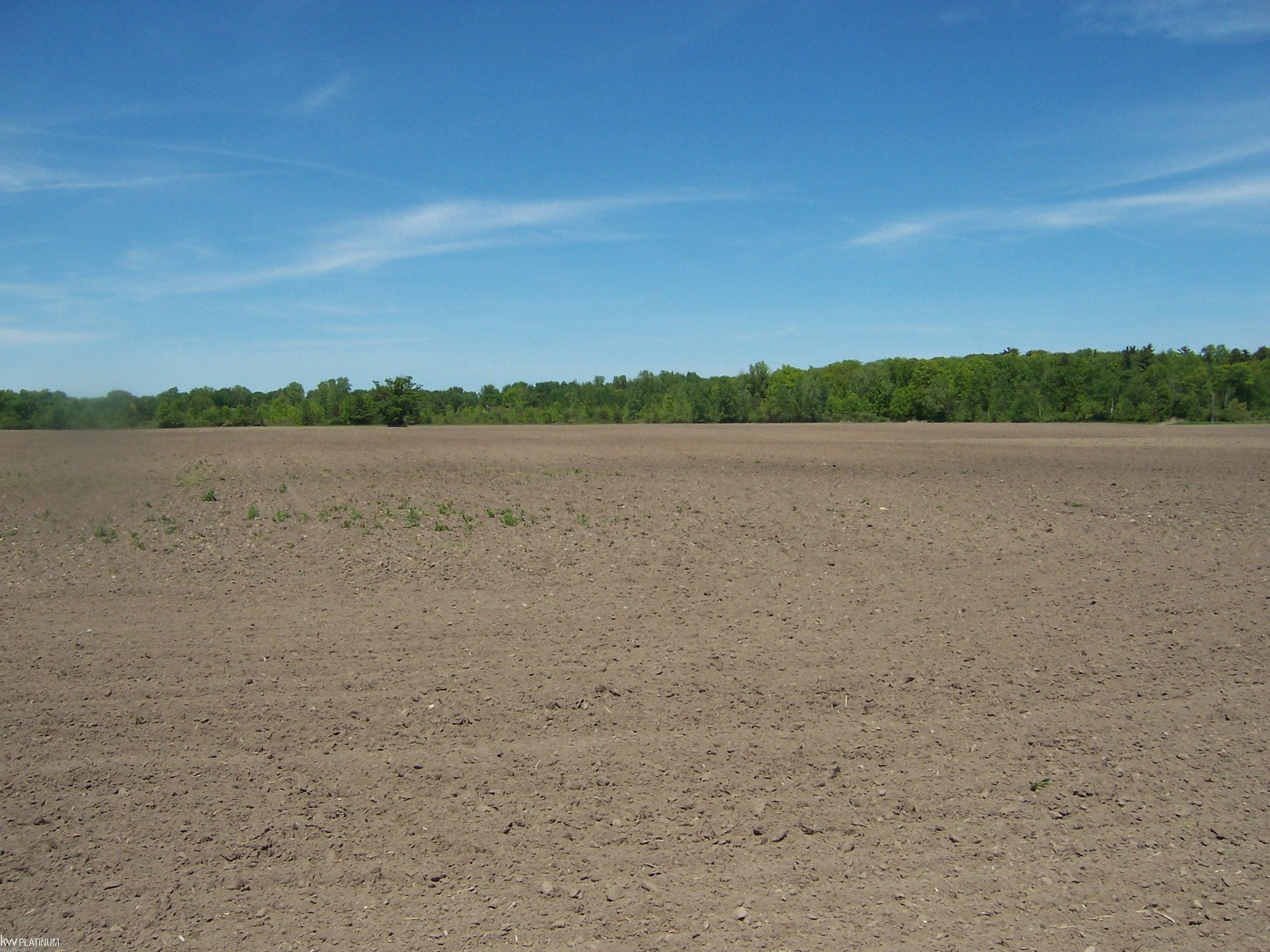 Lot 4 Lapeer Rd Road, Kimball, MI — Photo 2