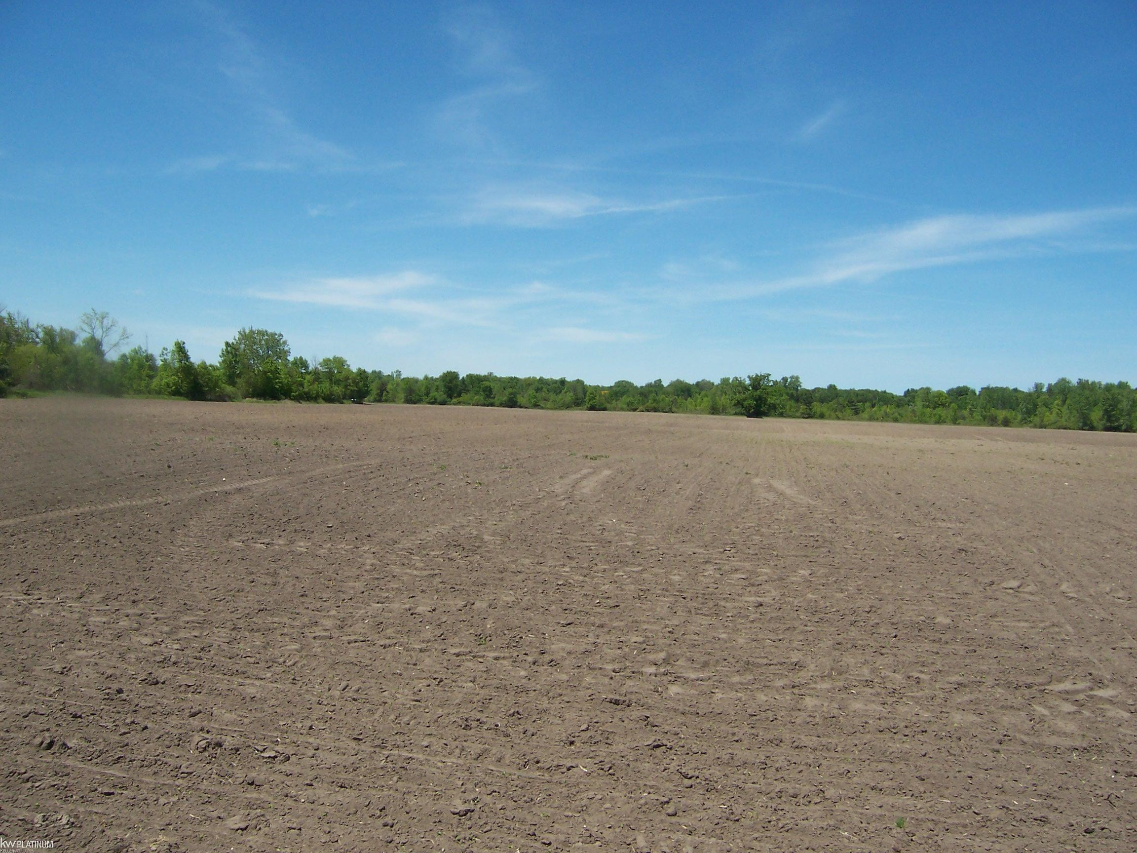 Lot 5 Lapeer Rd Road, Kimball, MI