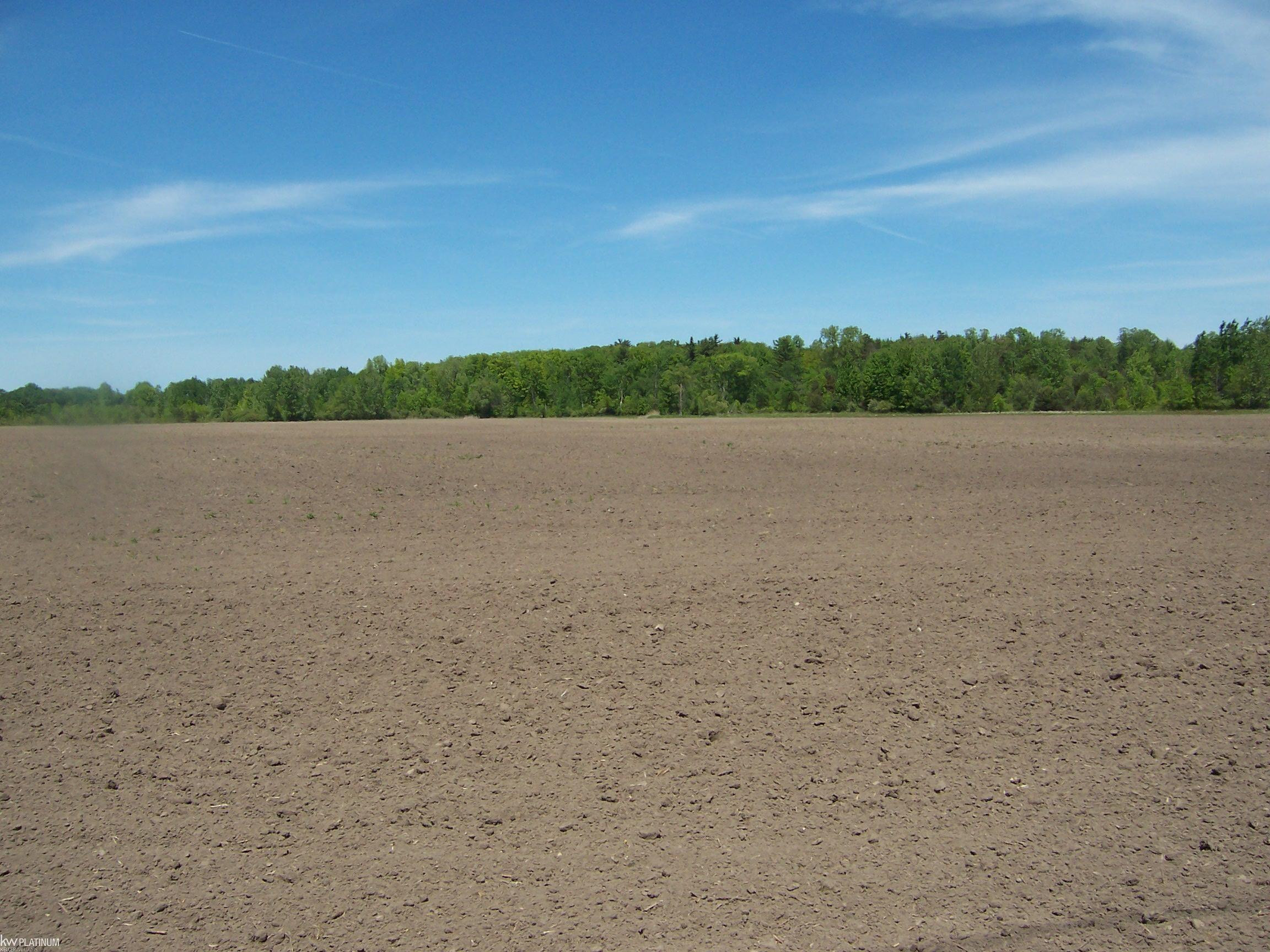 Lot 6 Lapeer Rd Road, Kimball, MI