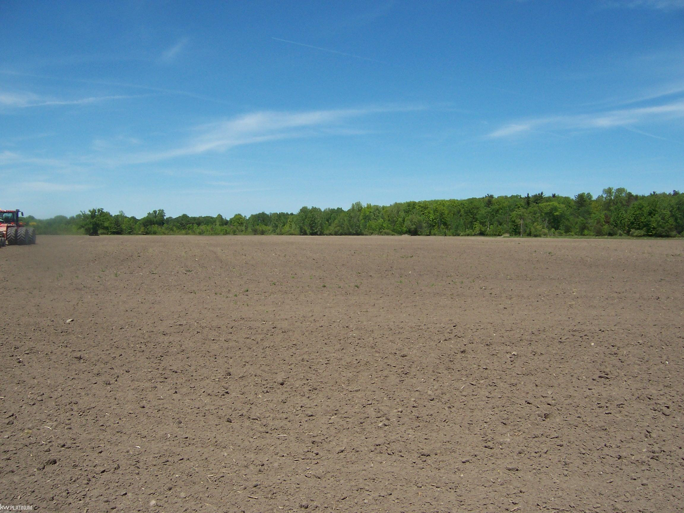 Lot 6 Lapeer Rd Road, Kimball, MI — Photo 2