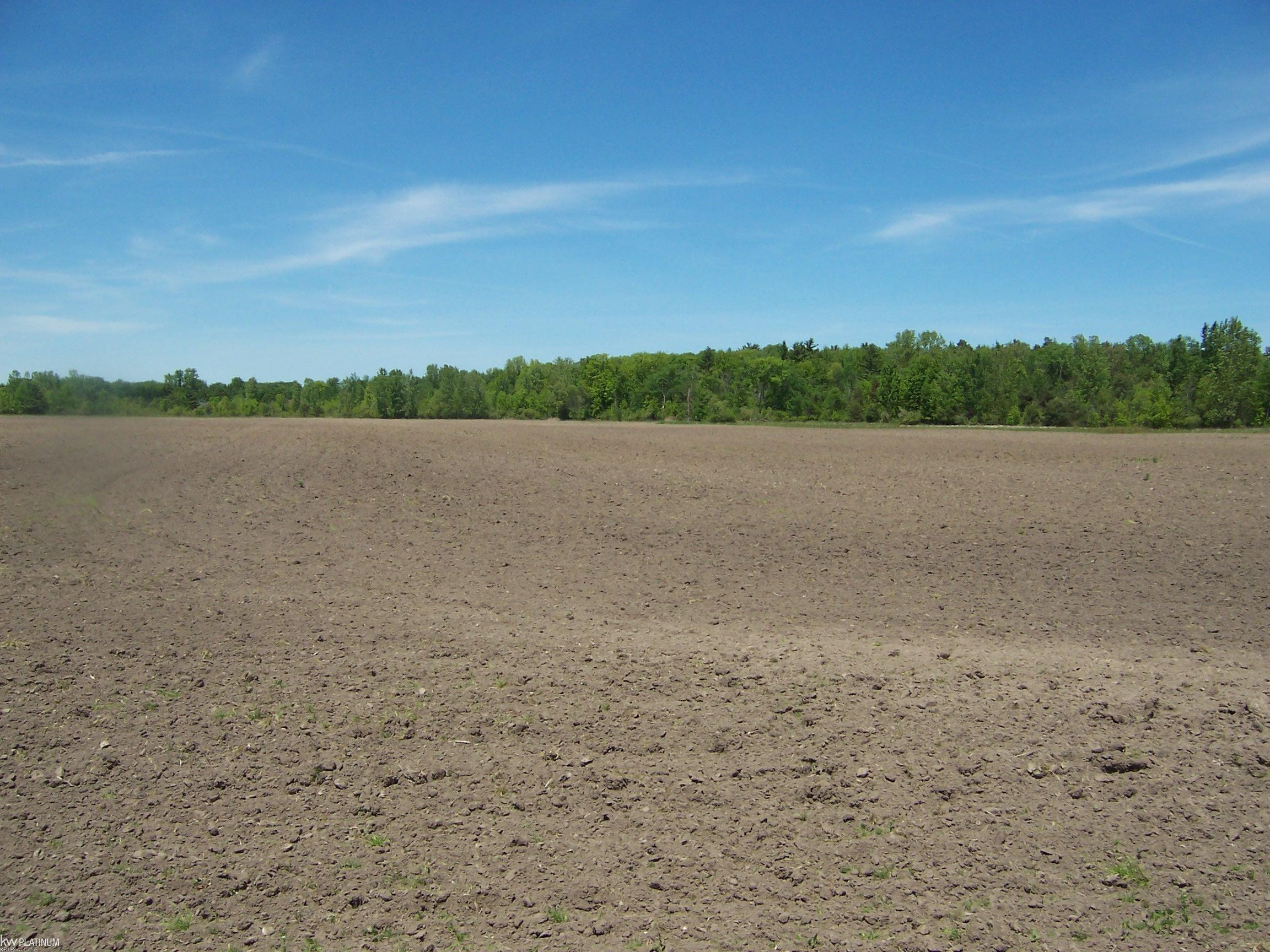 Lot 7 Lapeer Rd Road, Kimball, MI