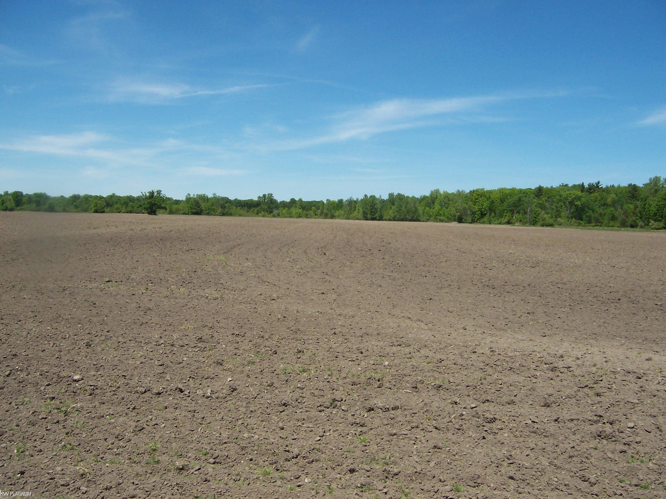 Lot 7 Lapeer Rd Road, Kimball, MI — Photo 2