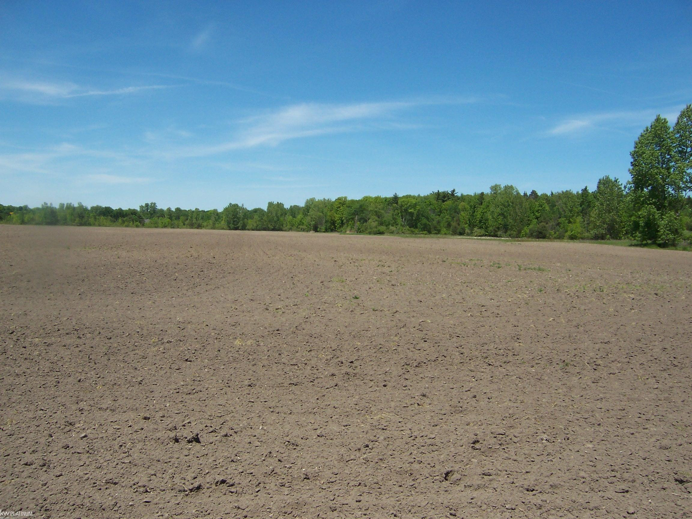 Lot 8 Lapeer Rd Road, Kimball, MI
