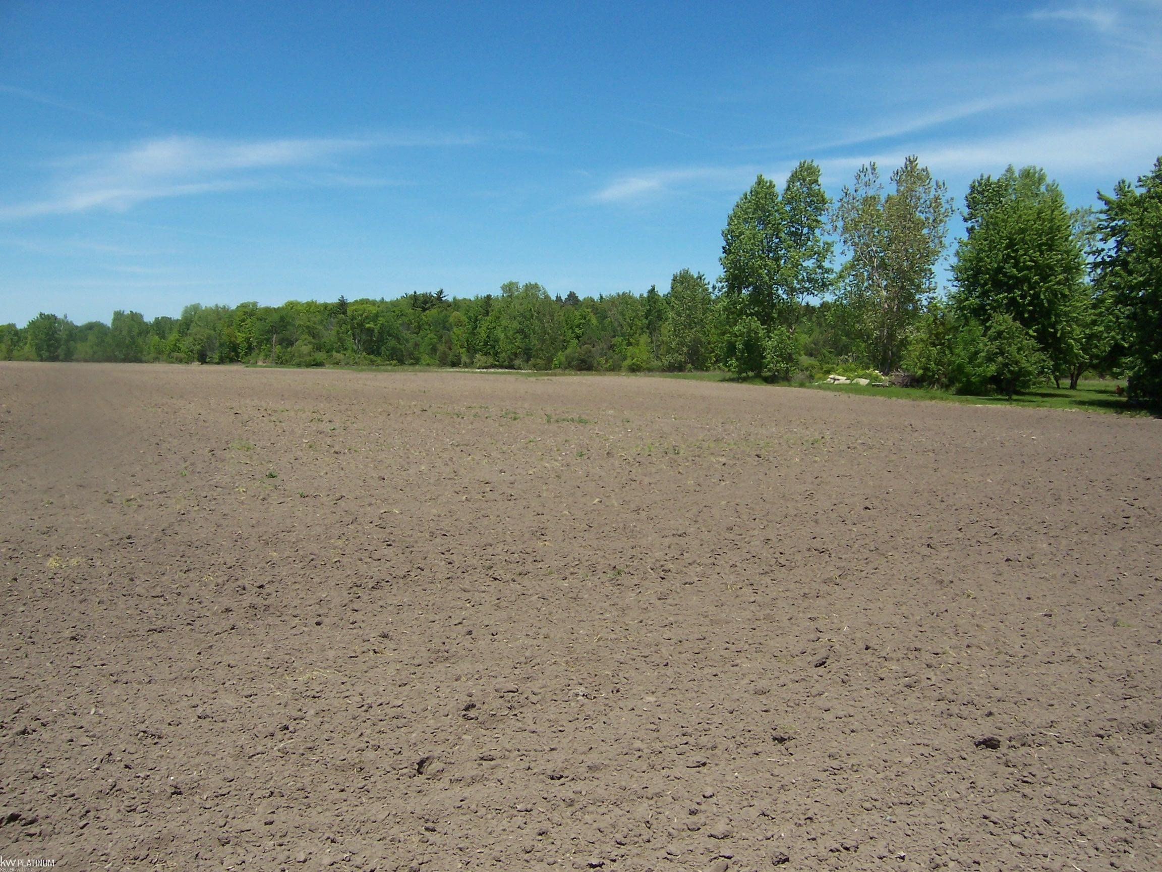 Lot 8 Lapeer Rd Road, Kimball, MI — Photo 2