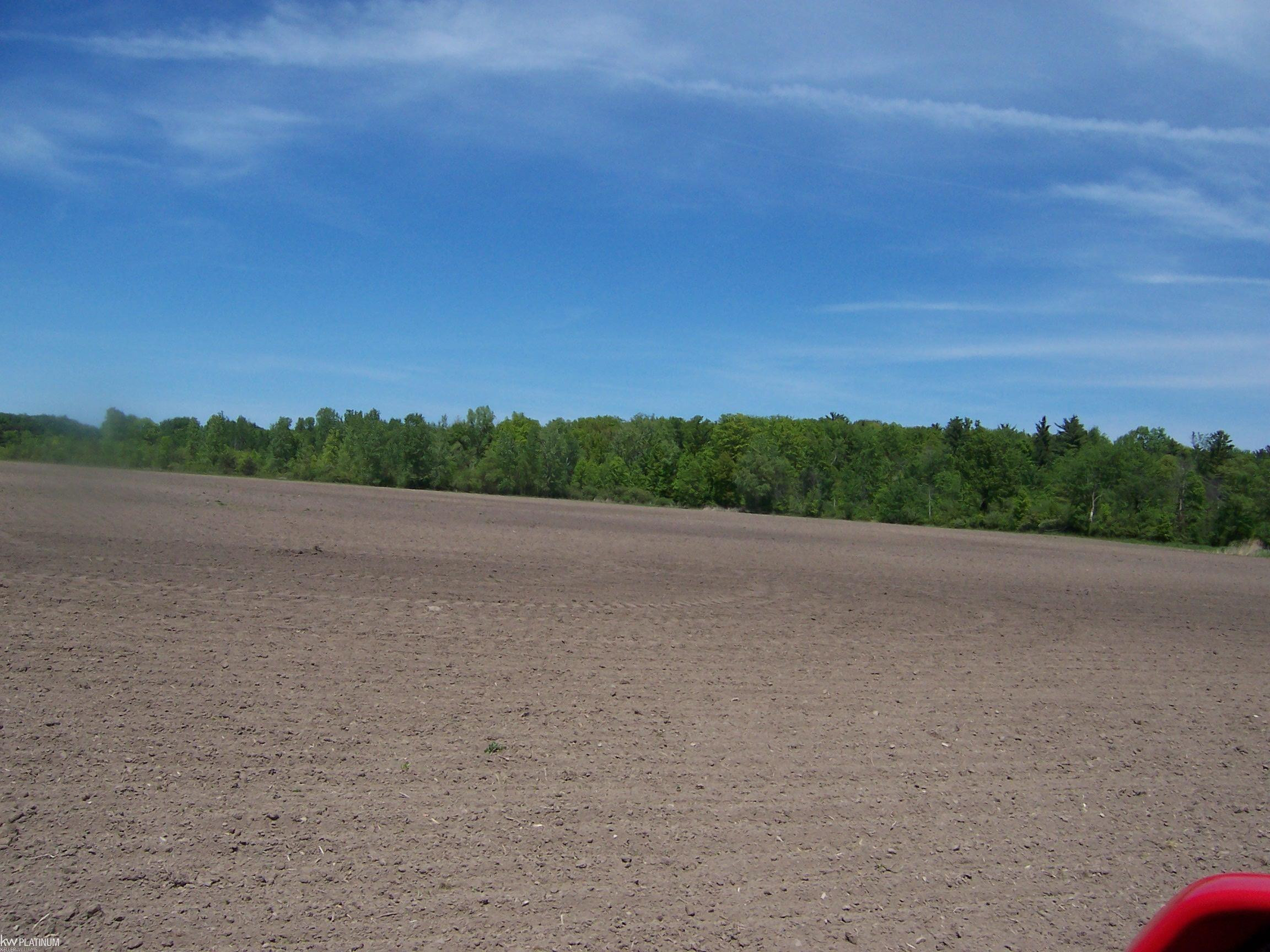 Lot 9 Lapeer Rd Road, Kimball, MI