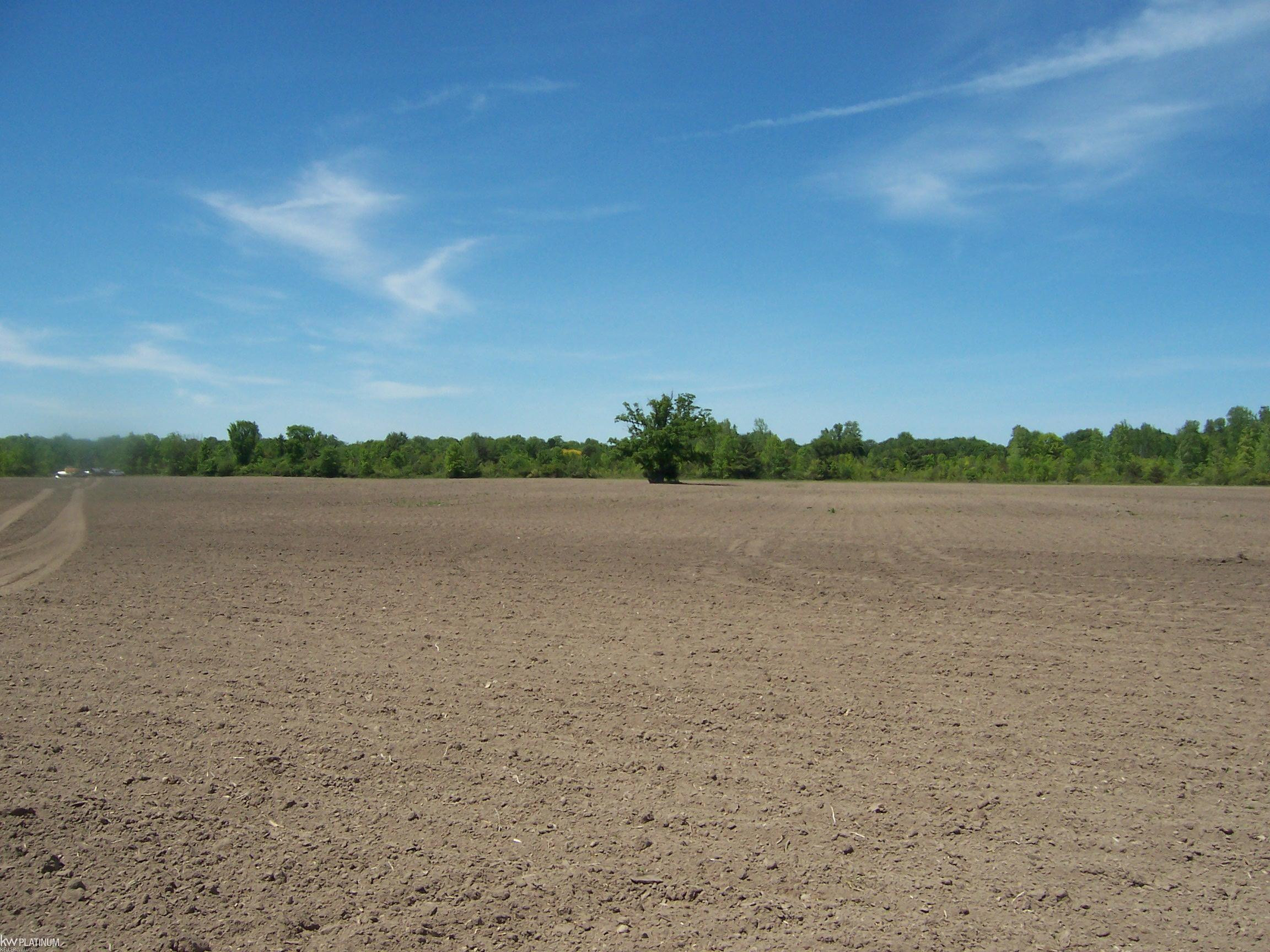 Lot 9 Lapeer Rd Road, Kimball, MI — Photo 2