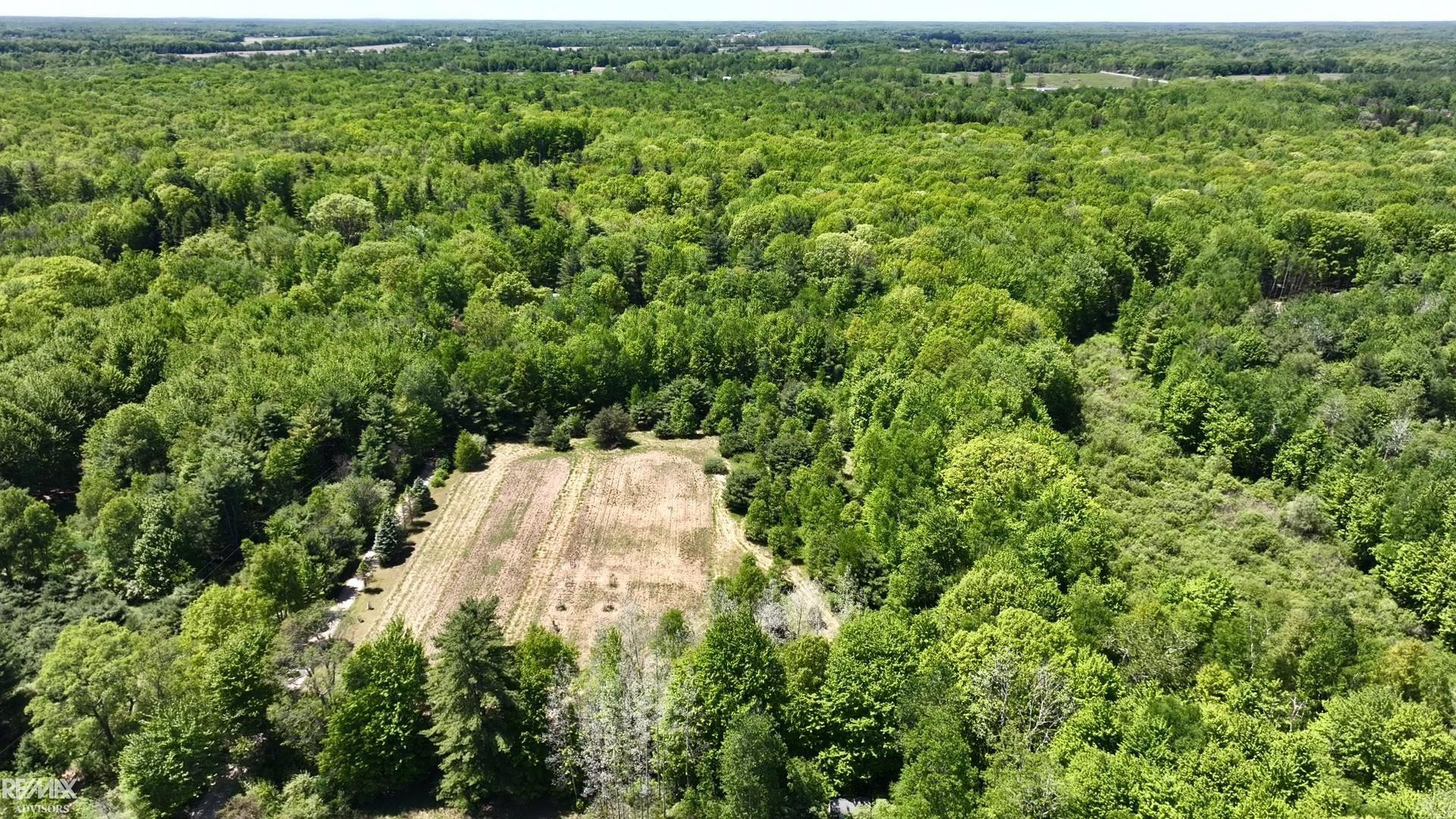 4299 Rabidue Road, MI 48049 — Photo 82