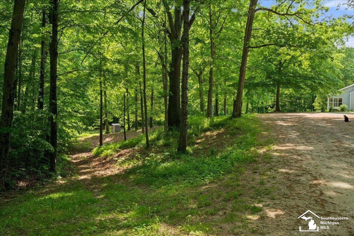 14297 Hickory Hill Drive, Manitou Beach, MI 49253 — Photo 58