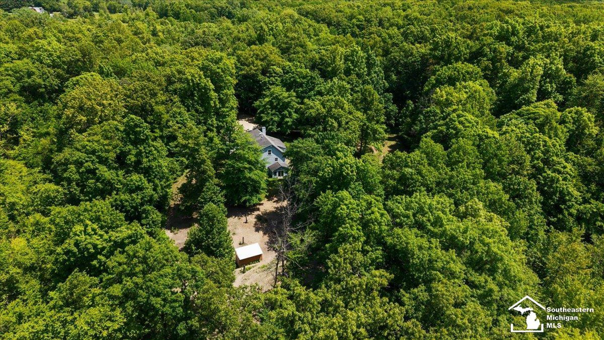 14297 Hickory Hill Drive, Manitou Beach, MI 49253 — Photo 60